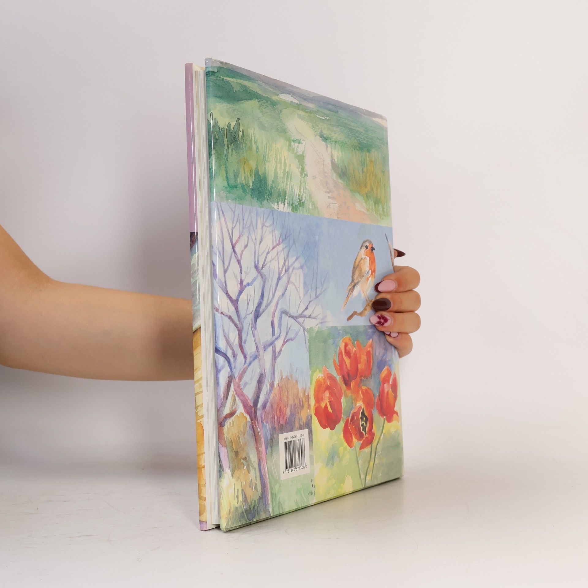 Miroslav Hrdina Watercolour Painter's Handbook