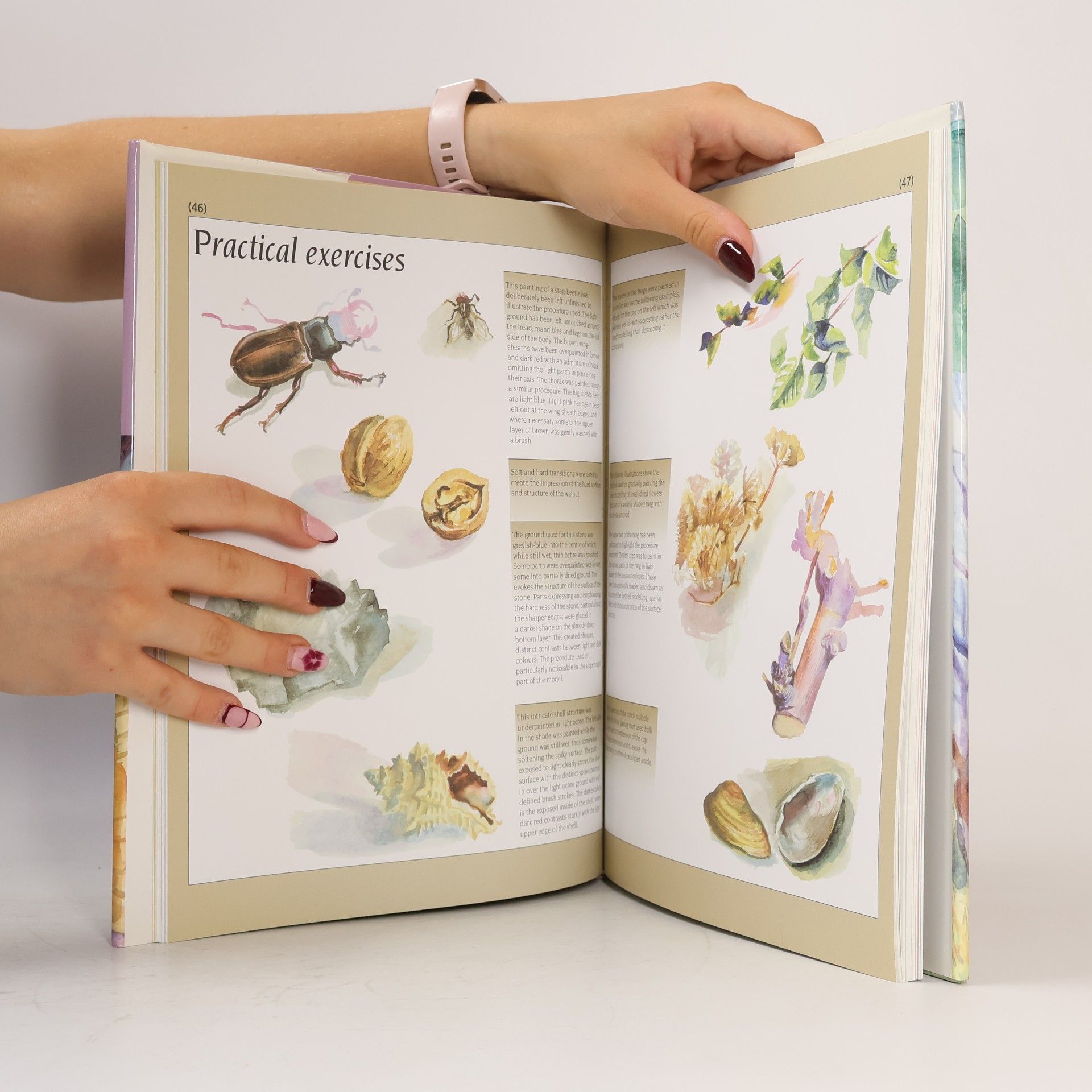 Miroslav Hrdina Watercolour Painter's Handbook