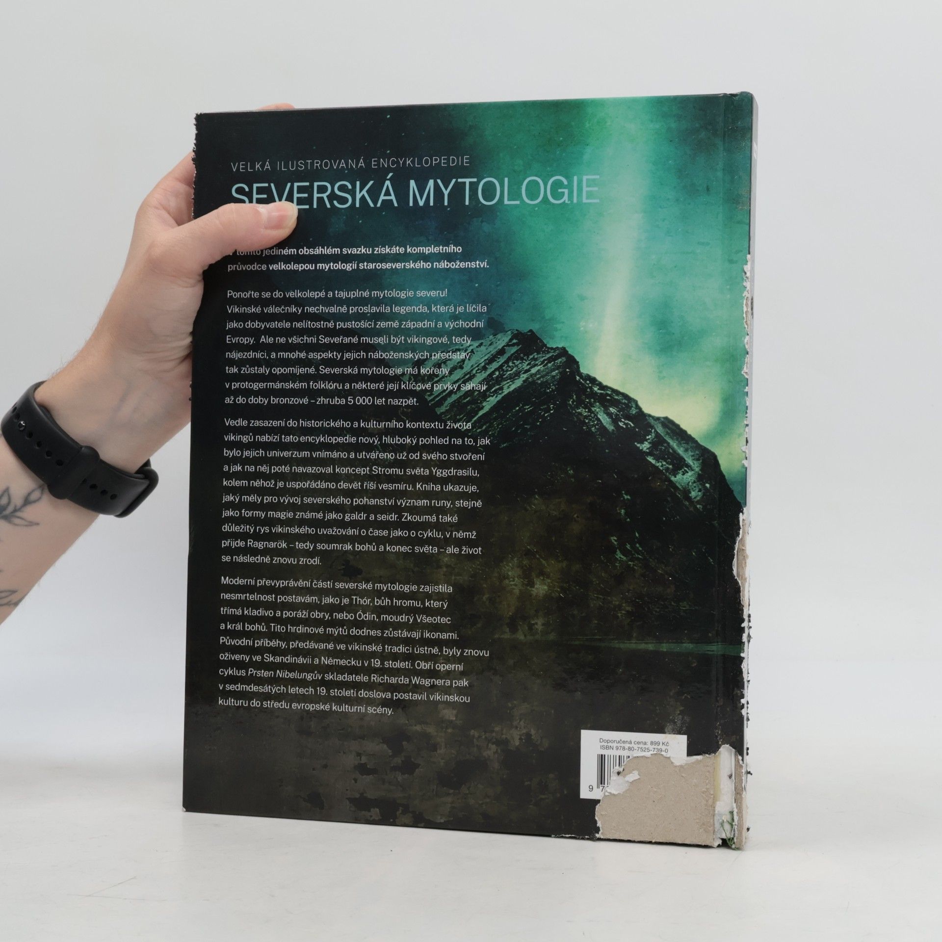 Finn D Moore Severská mytologie