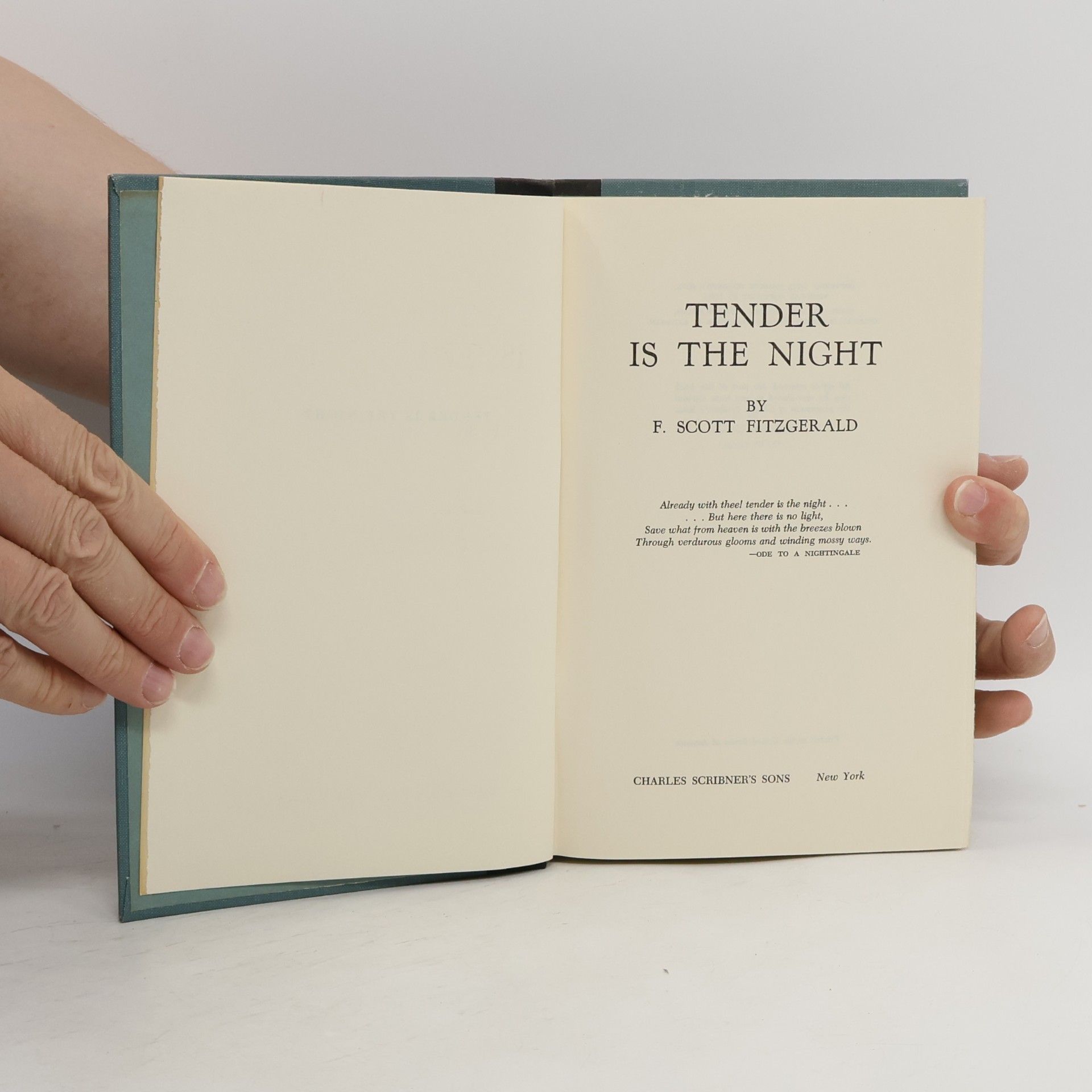Francis Scott Fitzgerald Tender Is the Night