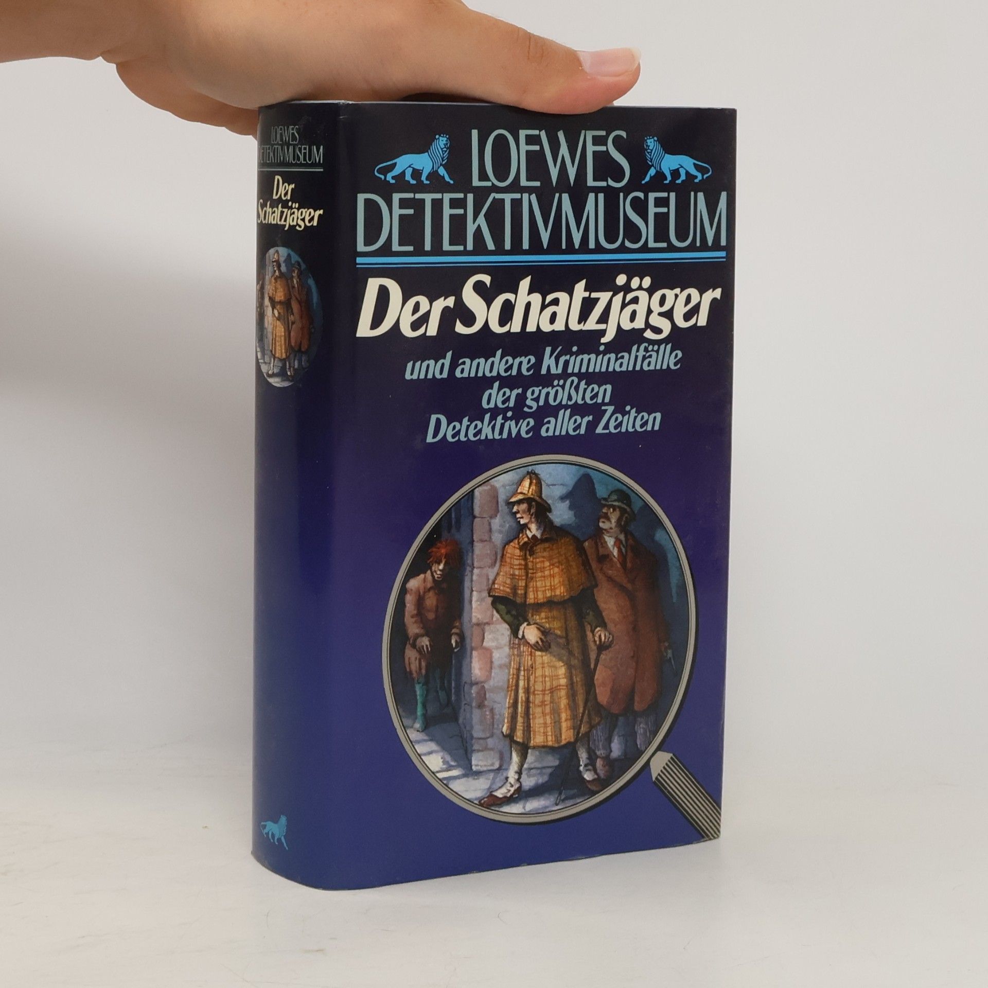 Kolektiv autorů Der Schatzjäger