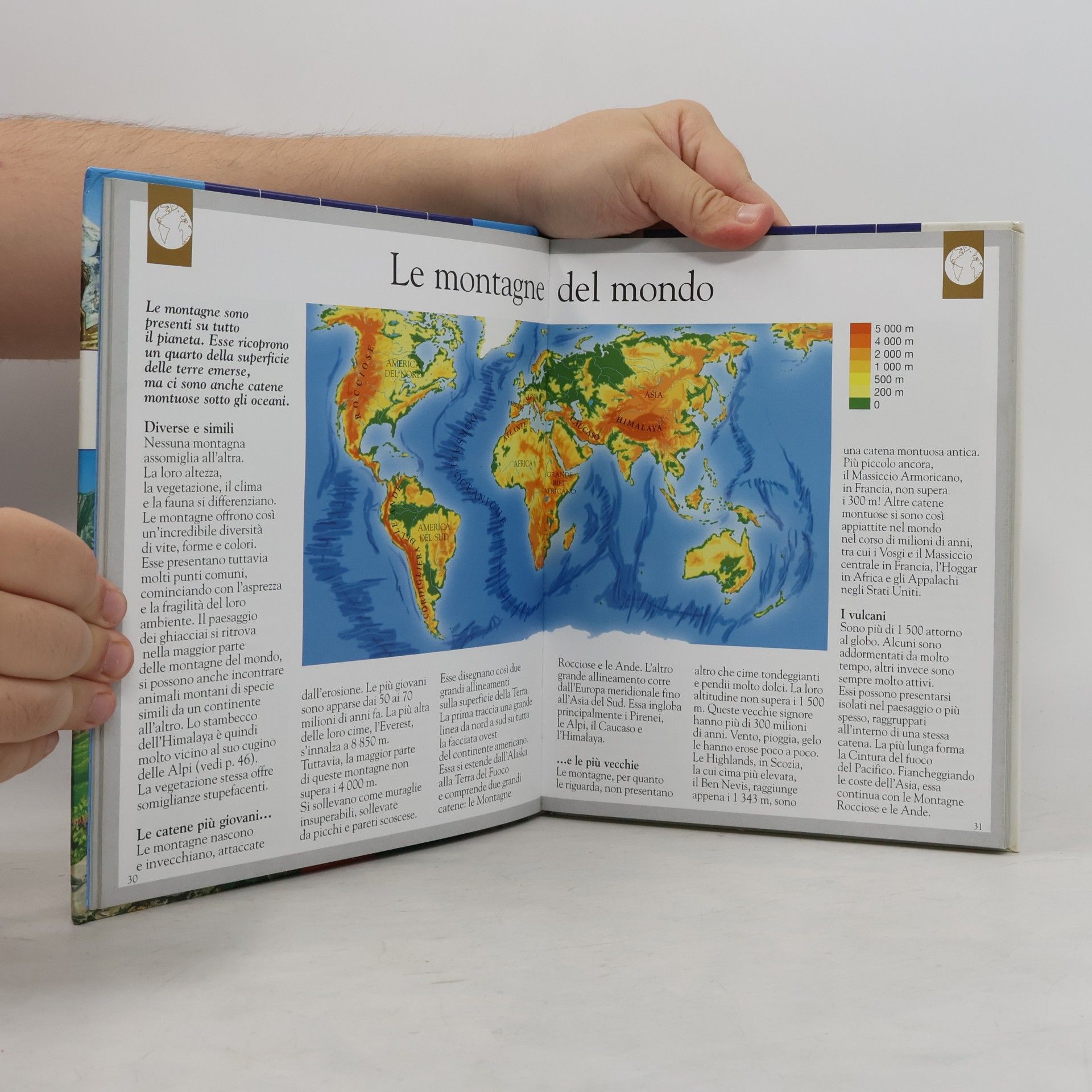 R. Berardinelli Dizionario dei Sinonimi e Contrari