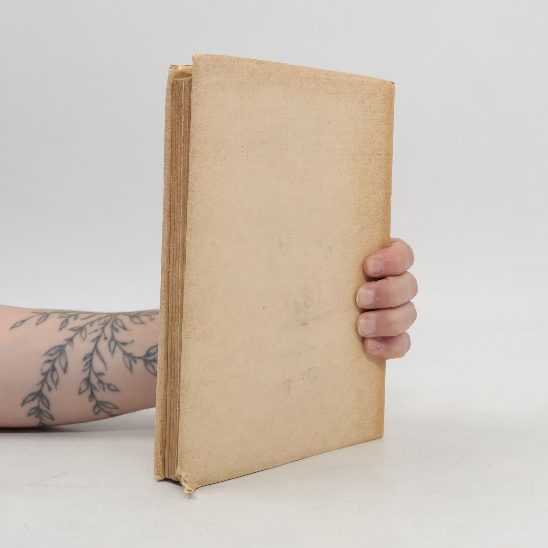 Svatopluk Čech Nový epochální výlet pana Broučka tentokrát do patnáctého století