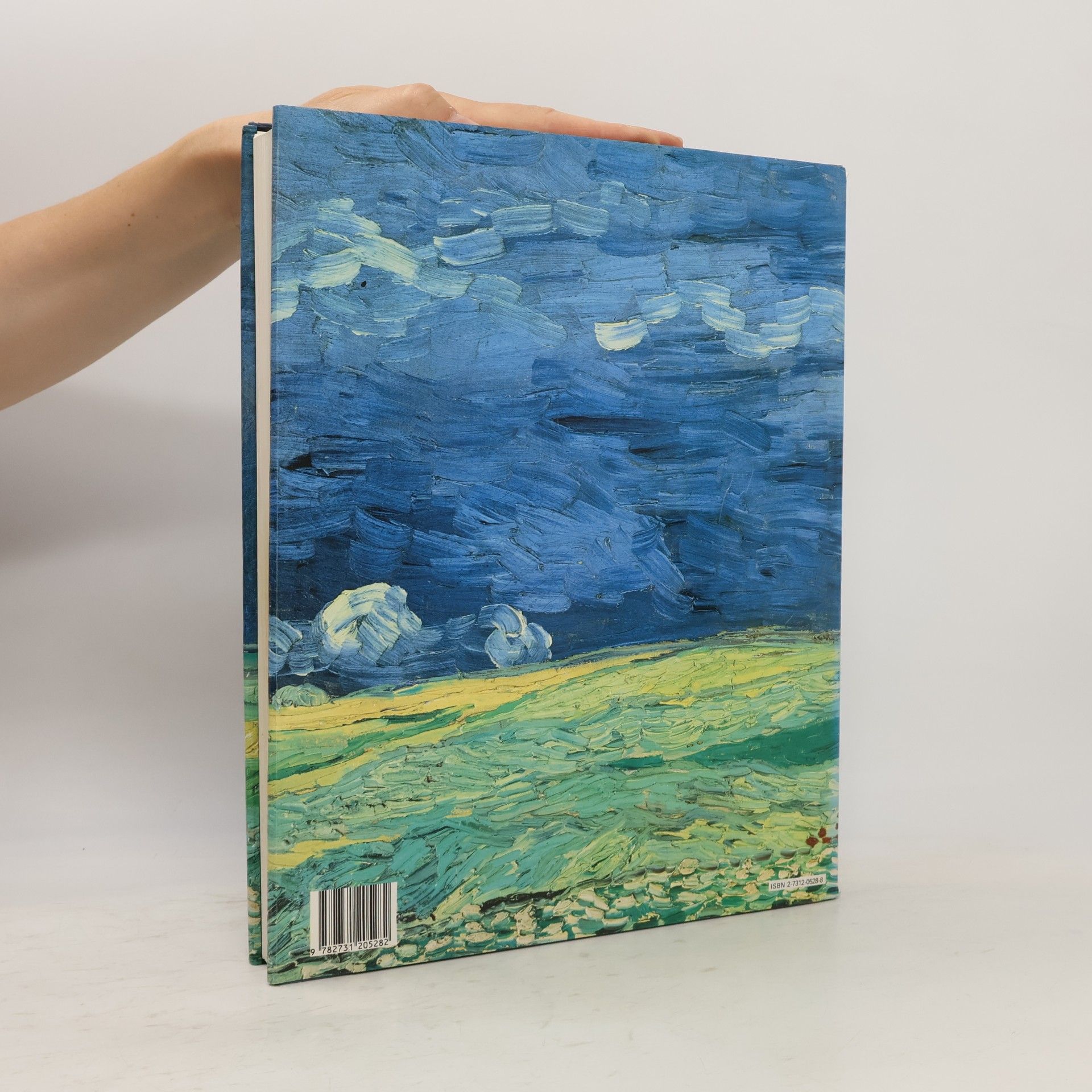 Vincent van Gogh Vincent Van Gogh par lui-même