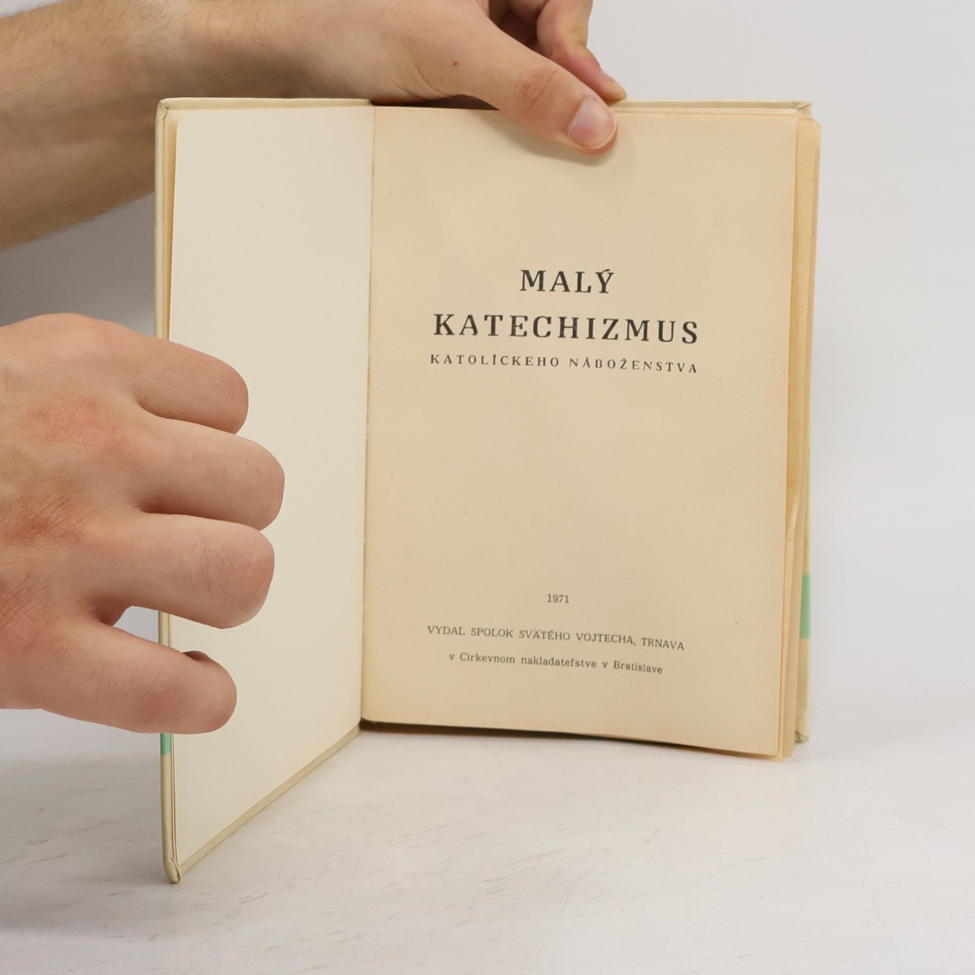 Kolektiv autorů Malý katechizmus