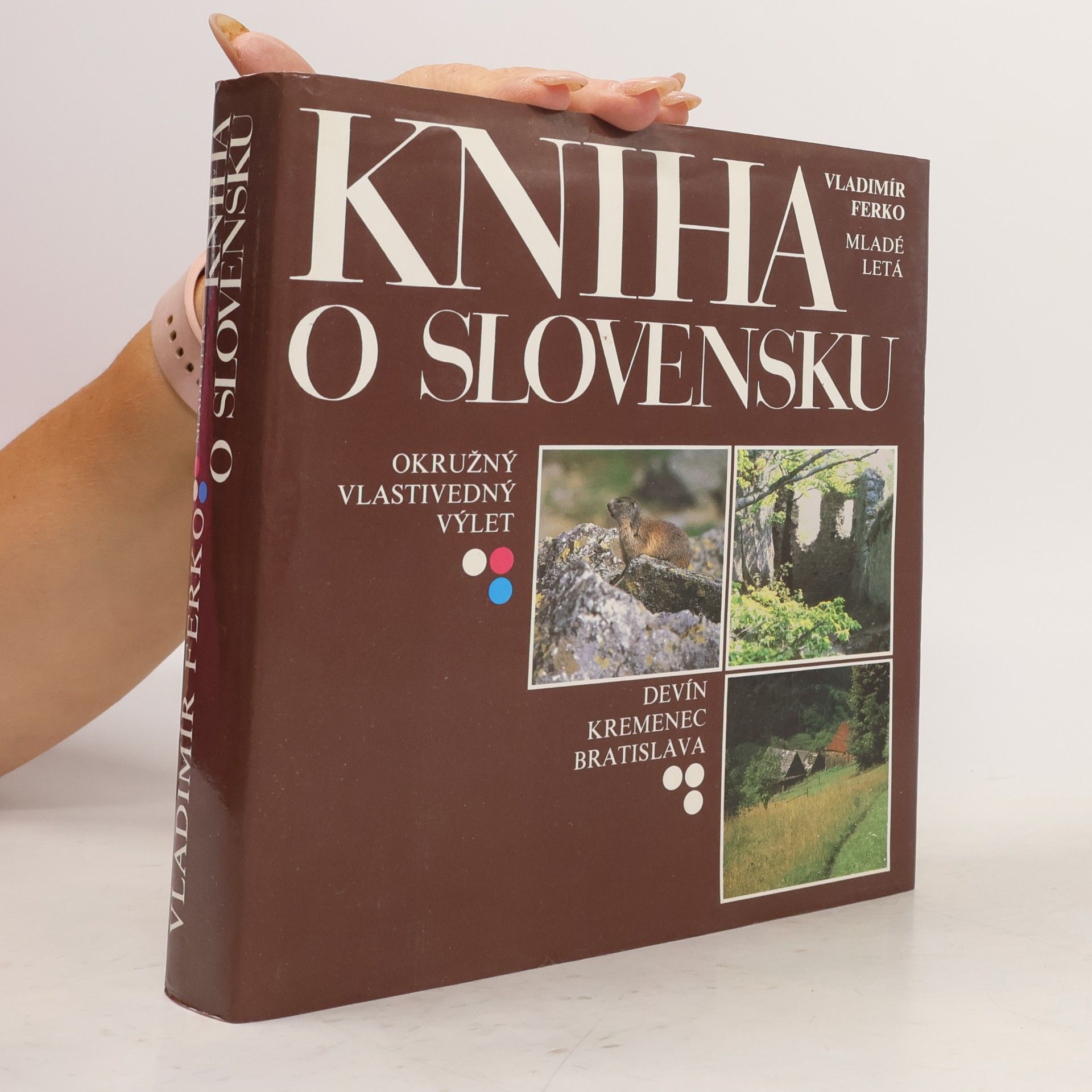 Vladimír Ferko Kniha o Slovensku
