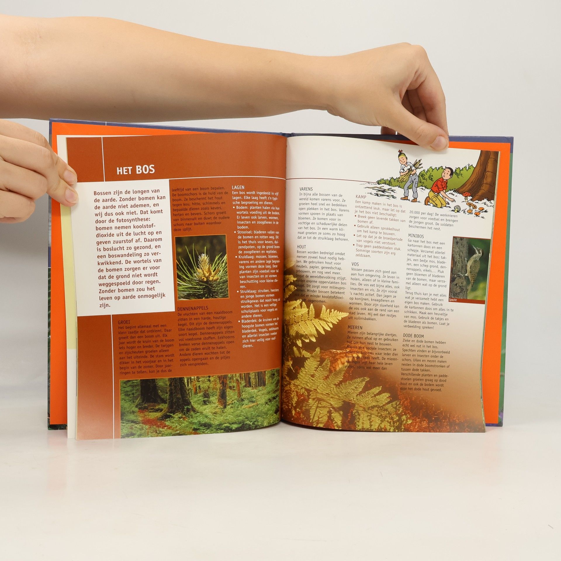 Dirk Nielandt Slim bekeken: Suske en Wiske natuurboek