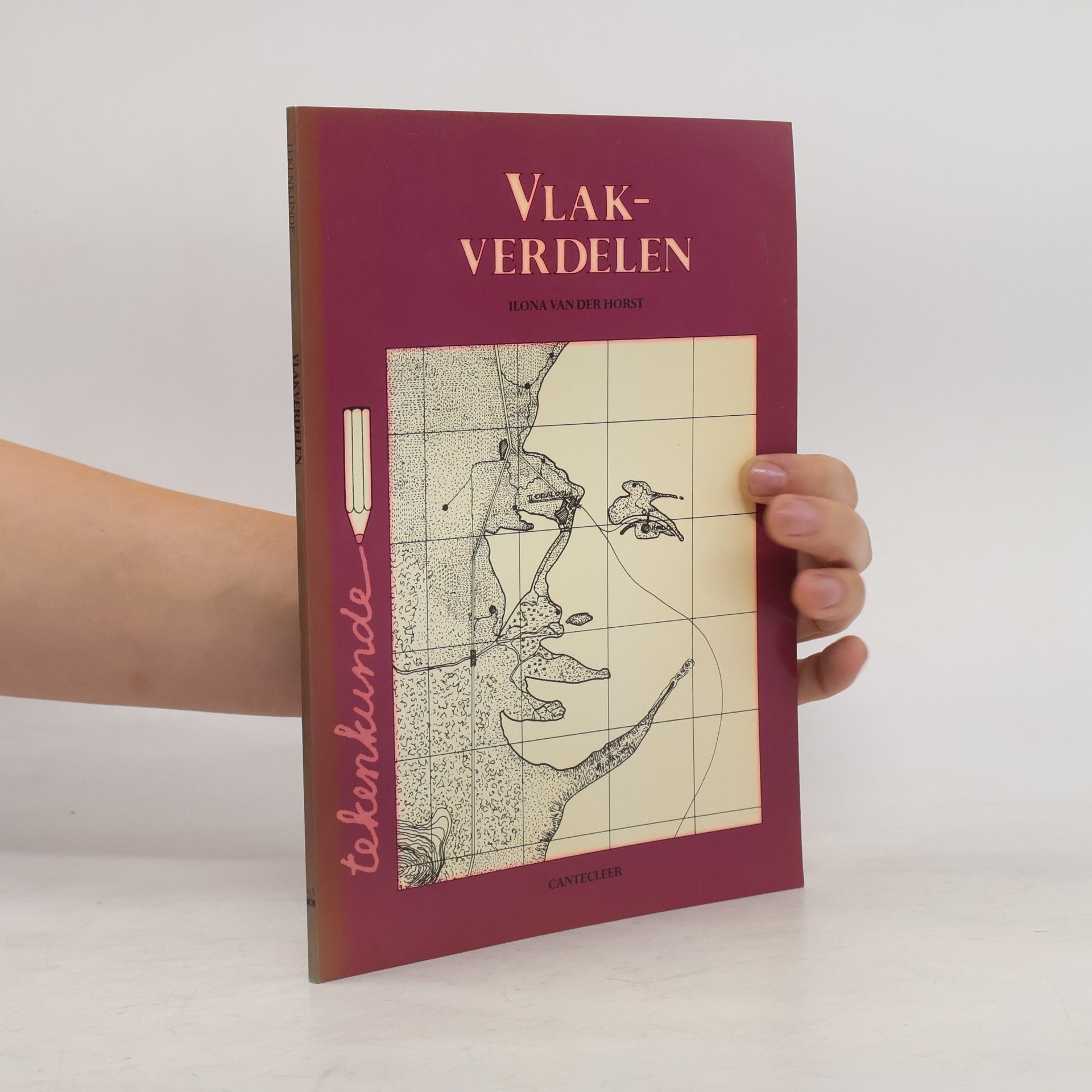 Ilona van der Horst Tekenkunde: Vlakverdelen
