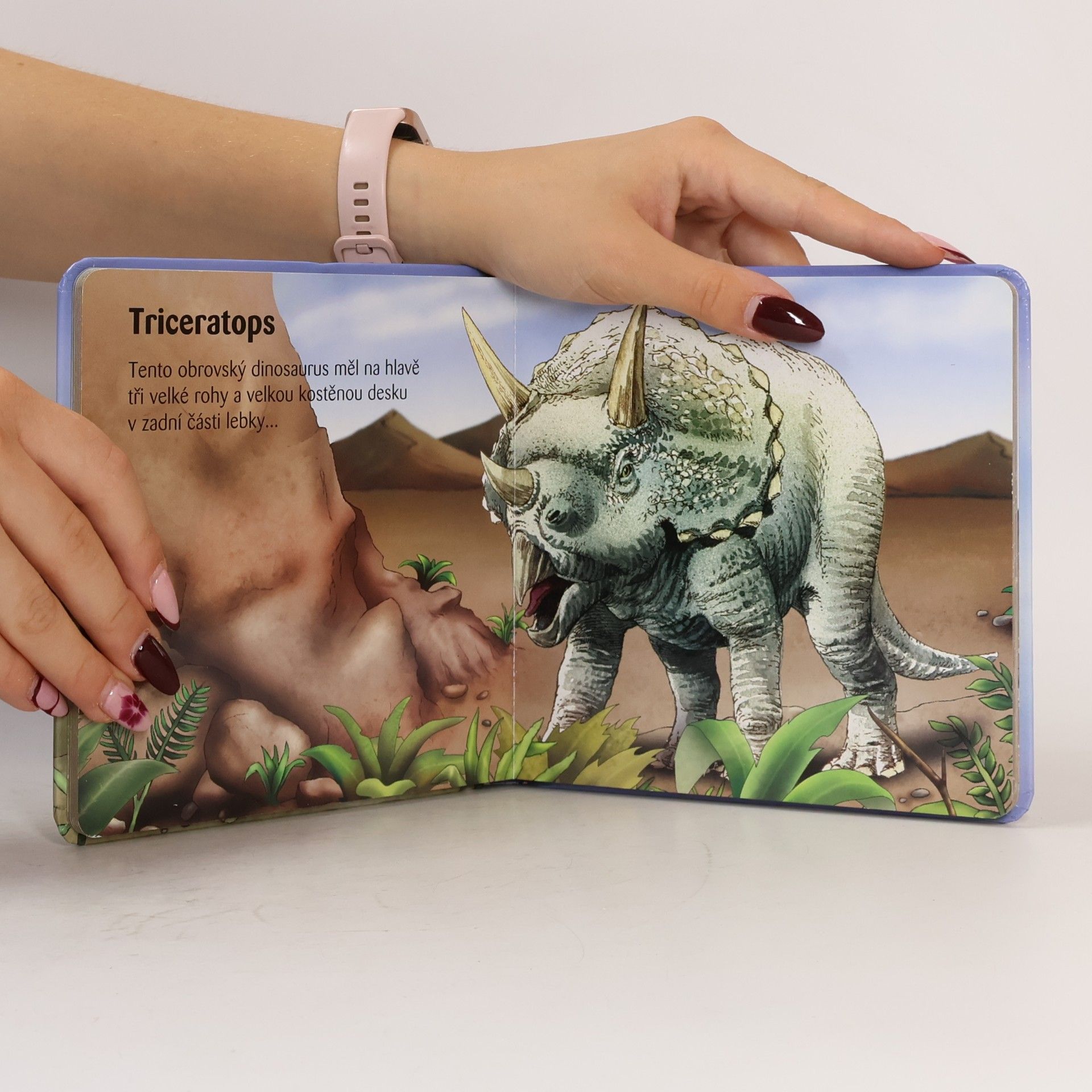 Tomáš Novotný Moje malá knížka o dinosaurech