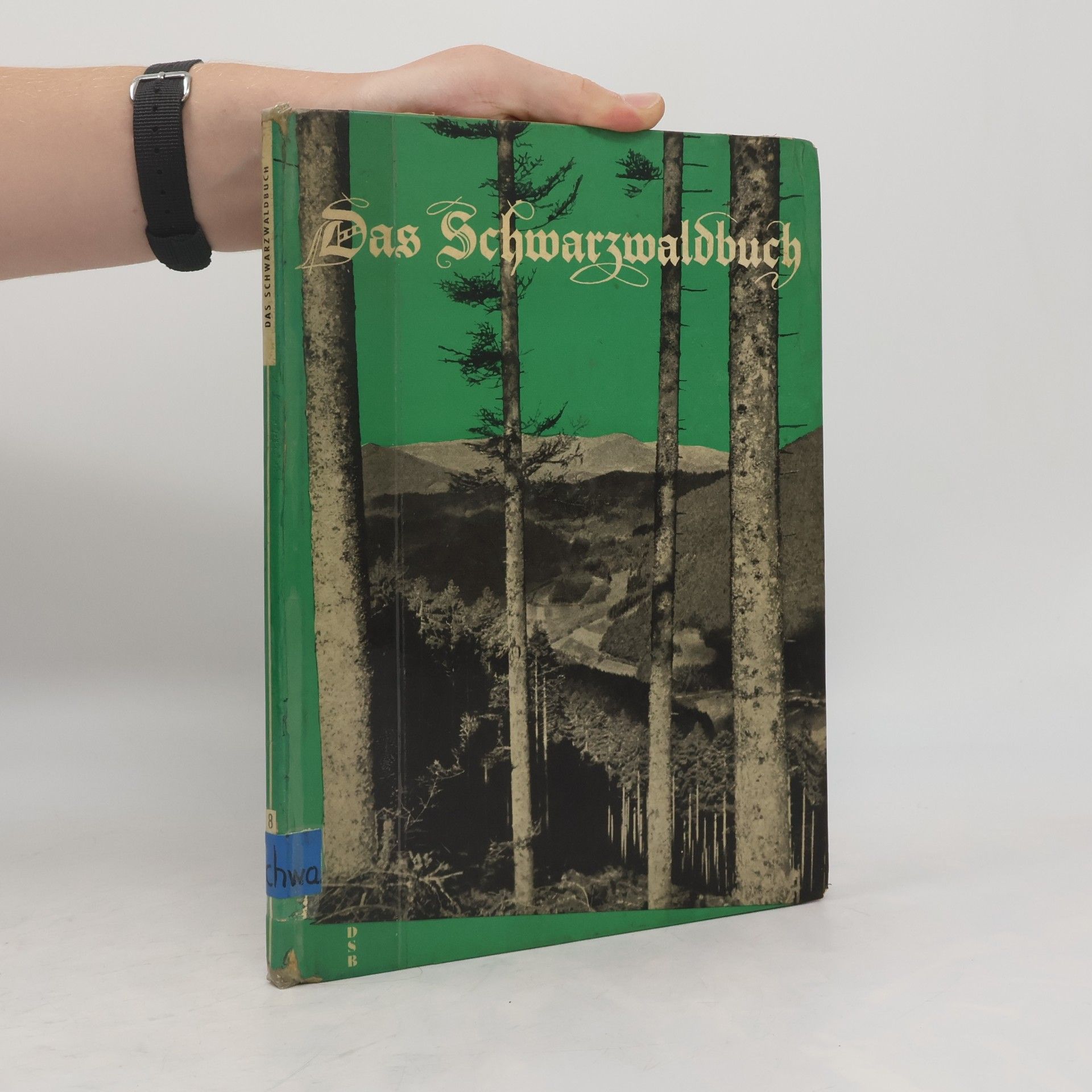 Wolf Strache Das Schwarzwaldbuch