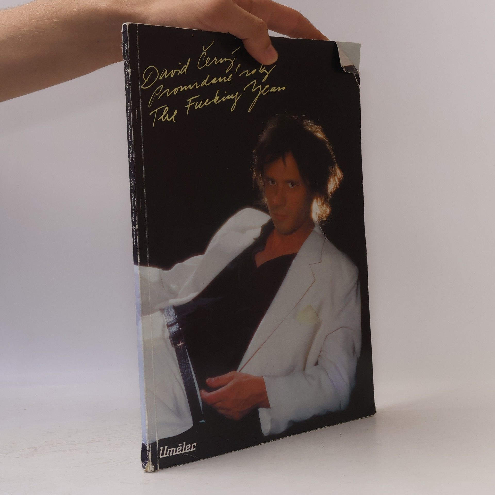 Vladan Šír David Černý: Promrdané roky. Pravdivý příběh (Život a dílo umělce) = The Fucking Years. A True Story (The Life and Work of an Artist)