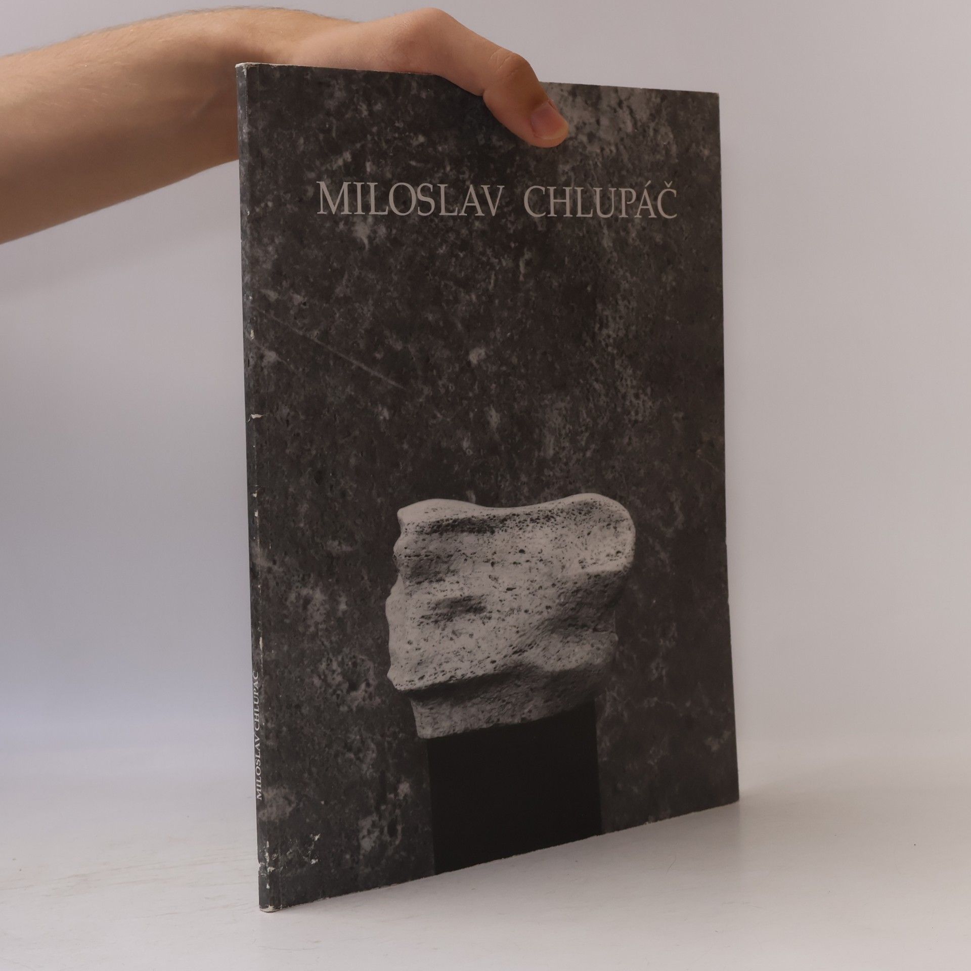 Collectif d'auteurs Miloslav Chlupáč : Galerie výtvarného umění v Litoměřicích červenec - září 1995 : Oblastní galerie vysočiny v Jihlavě listopad - prosinec 1995 : Galerie umění v Karlových varech březen - duben 1996