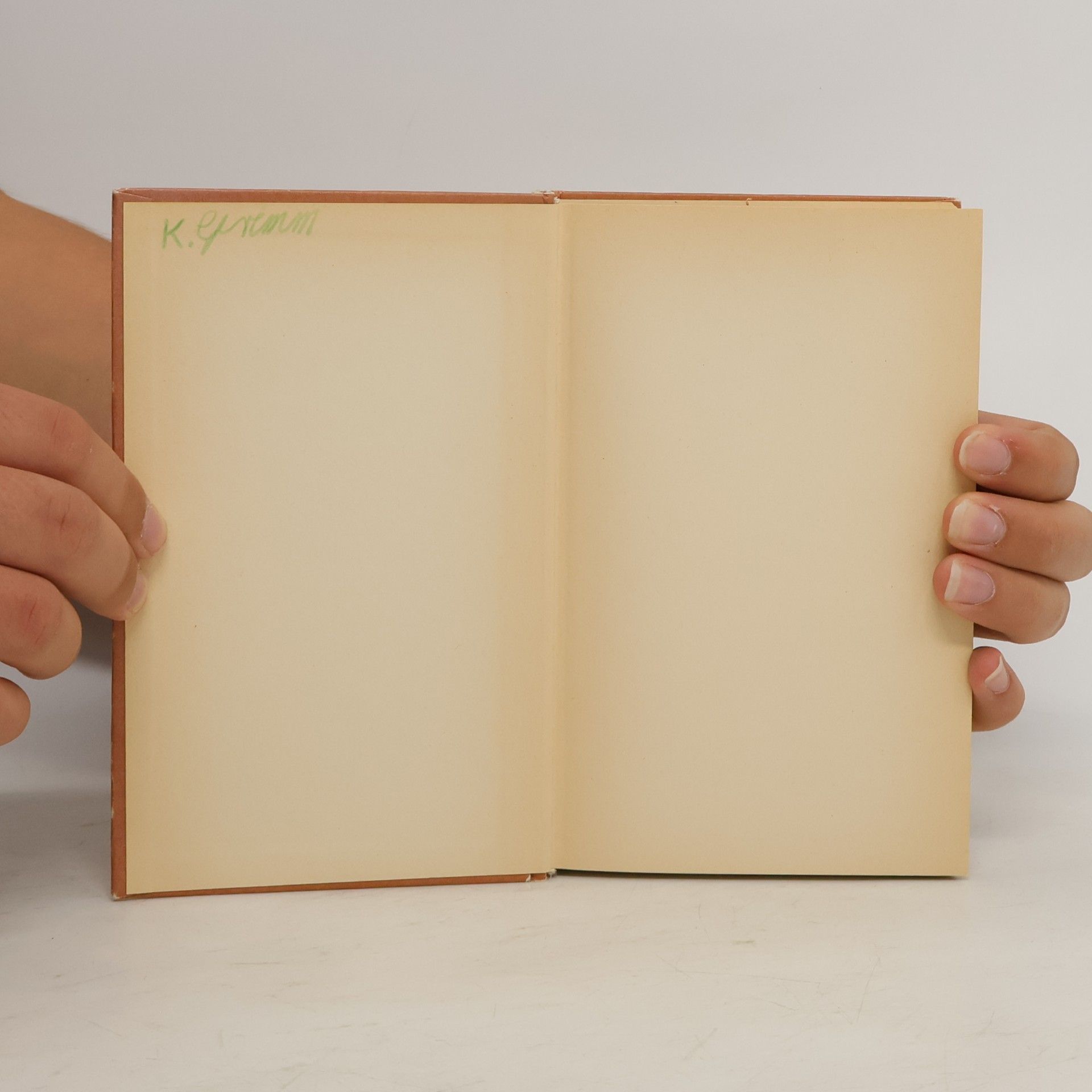 Enid Blyton Fünf Freunde auf großer Fahrt