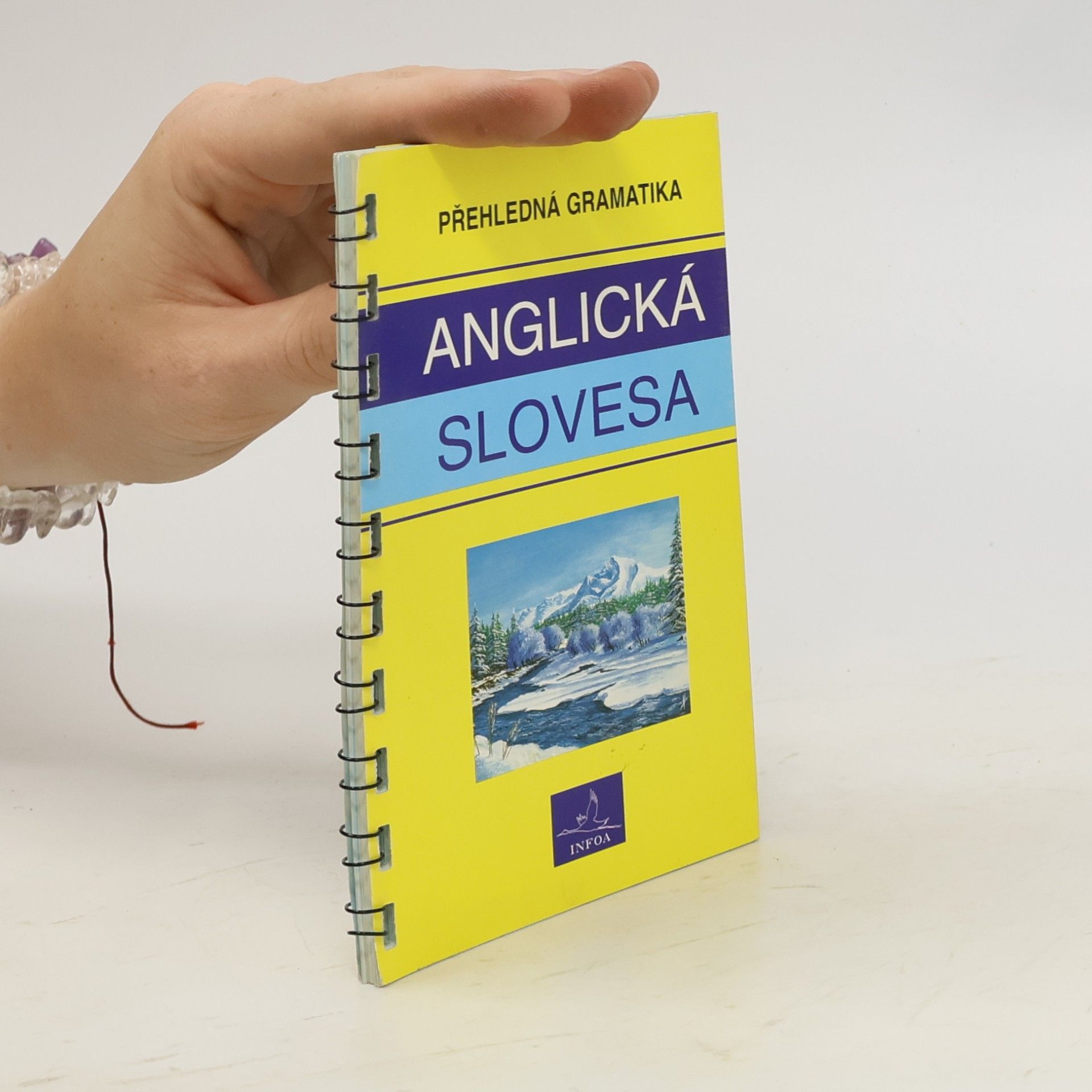 Autorenkollektiv Anglická slovesa : přehledná gramatika