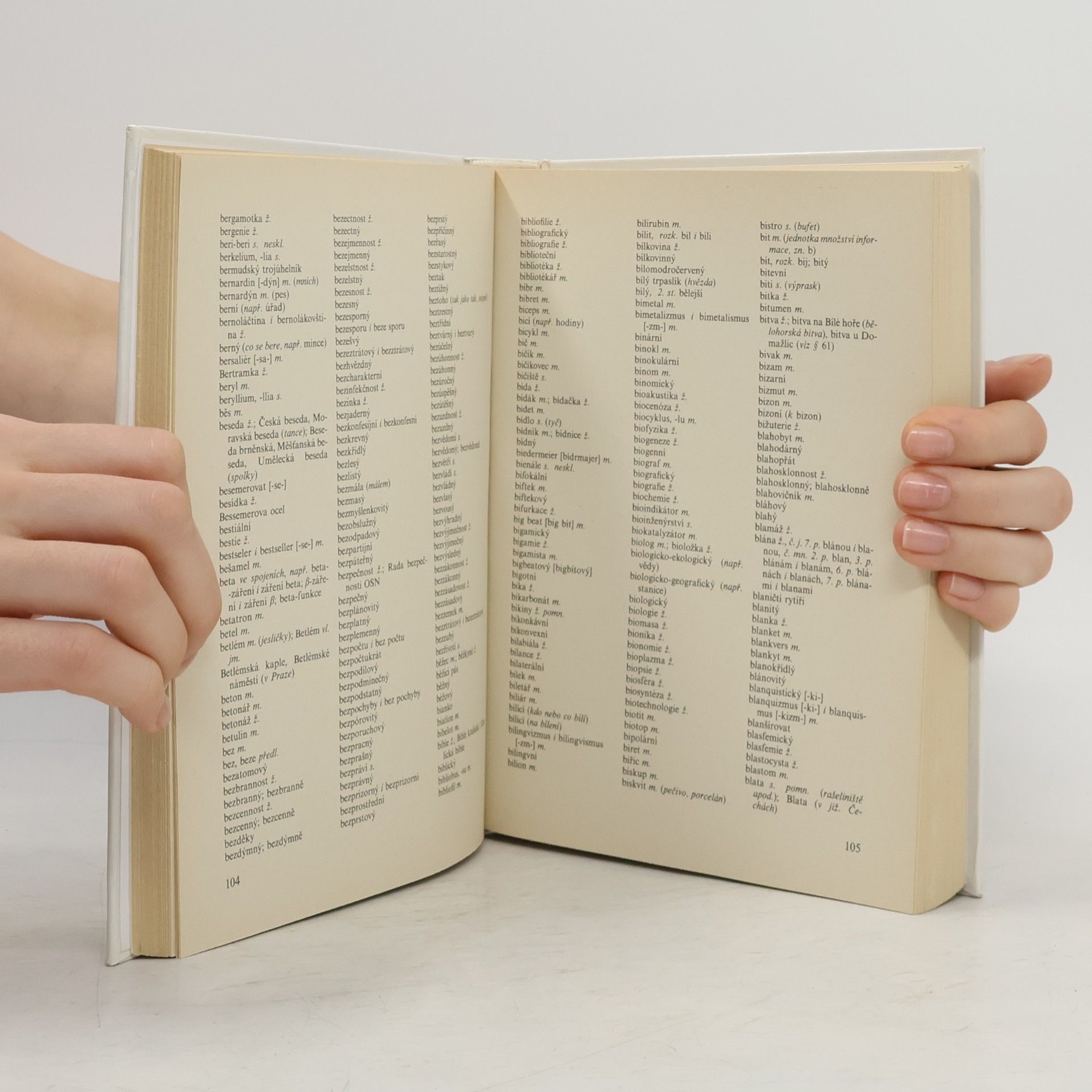Autorenkollektiv Akademická pravidla českého pravopisu