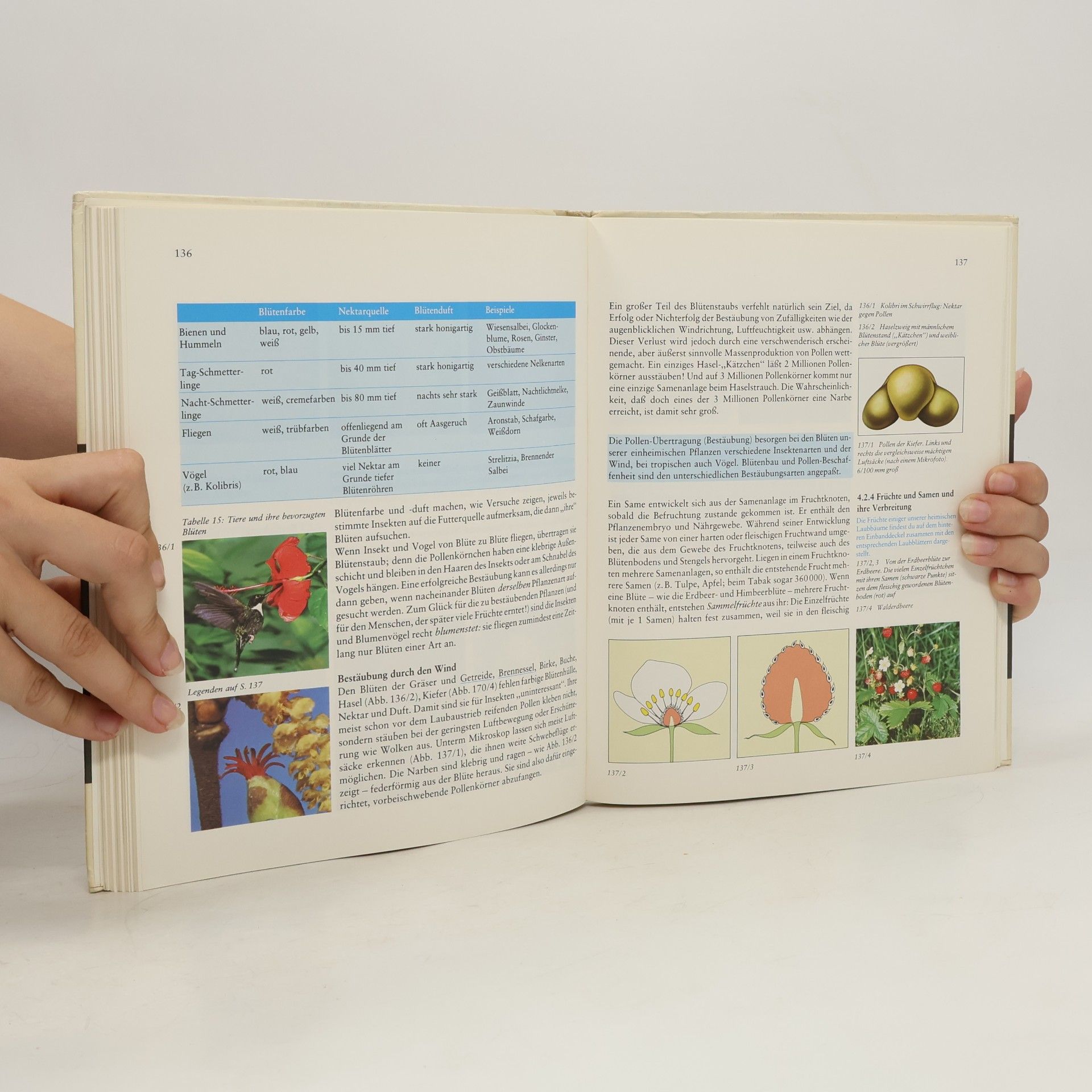 Autorenkollektiv Einführung in die Biologie