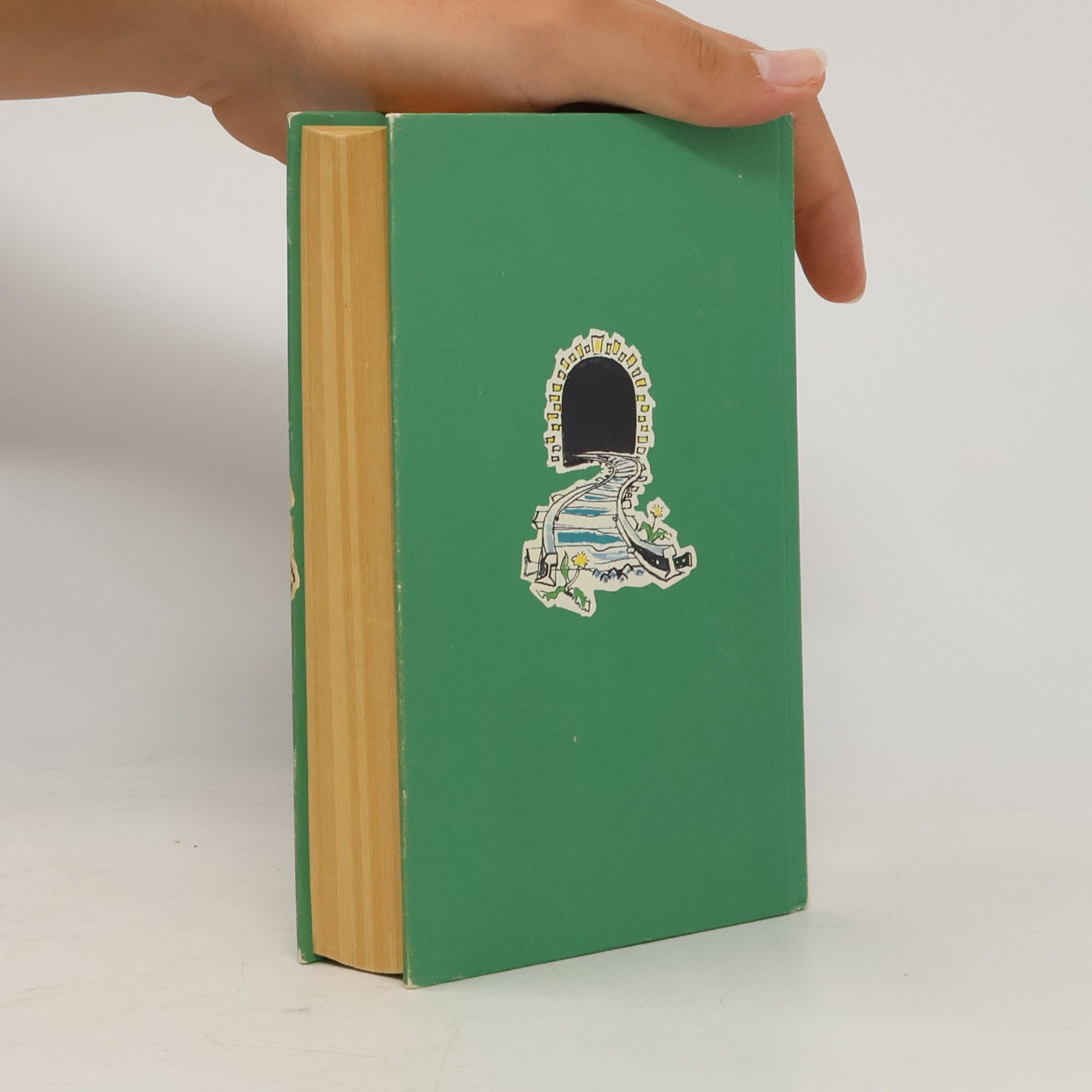 Enid Blyton Fünf Freunde im Zeltlager