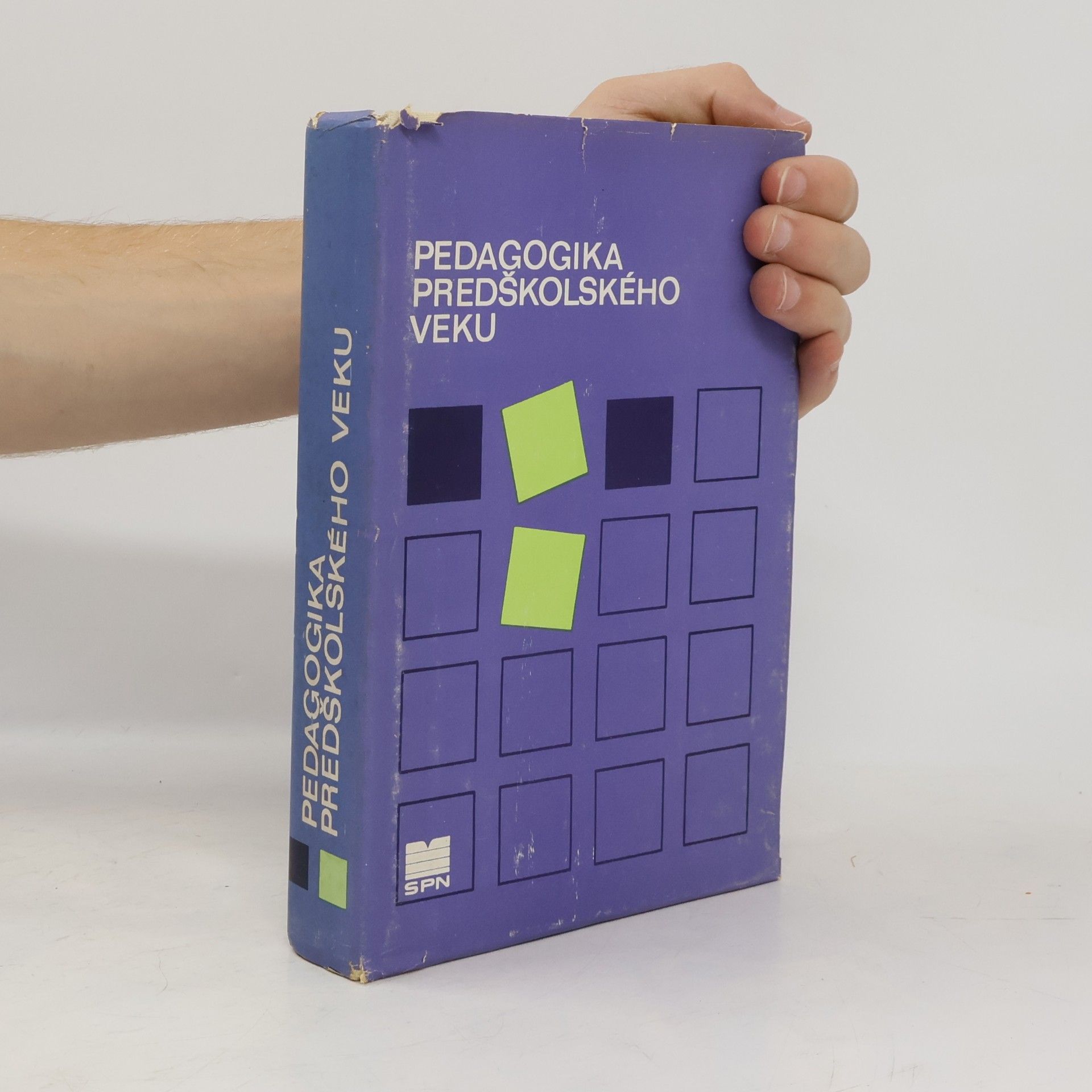 Autorenkollektiv Pedagogika predškolského veku
