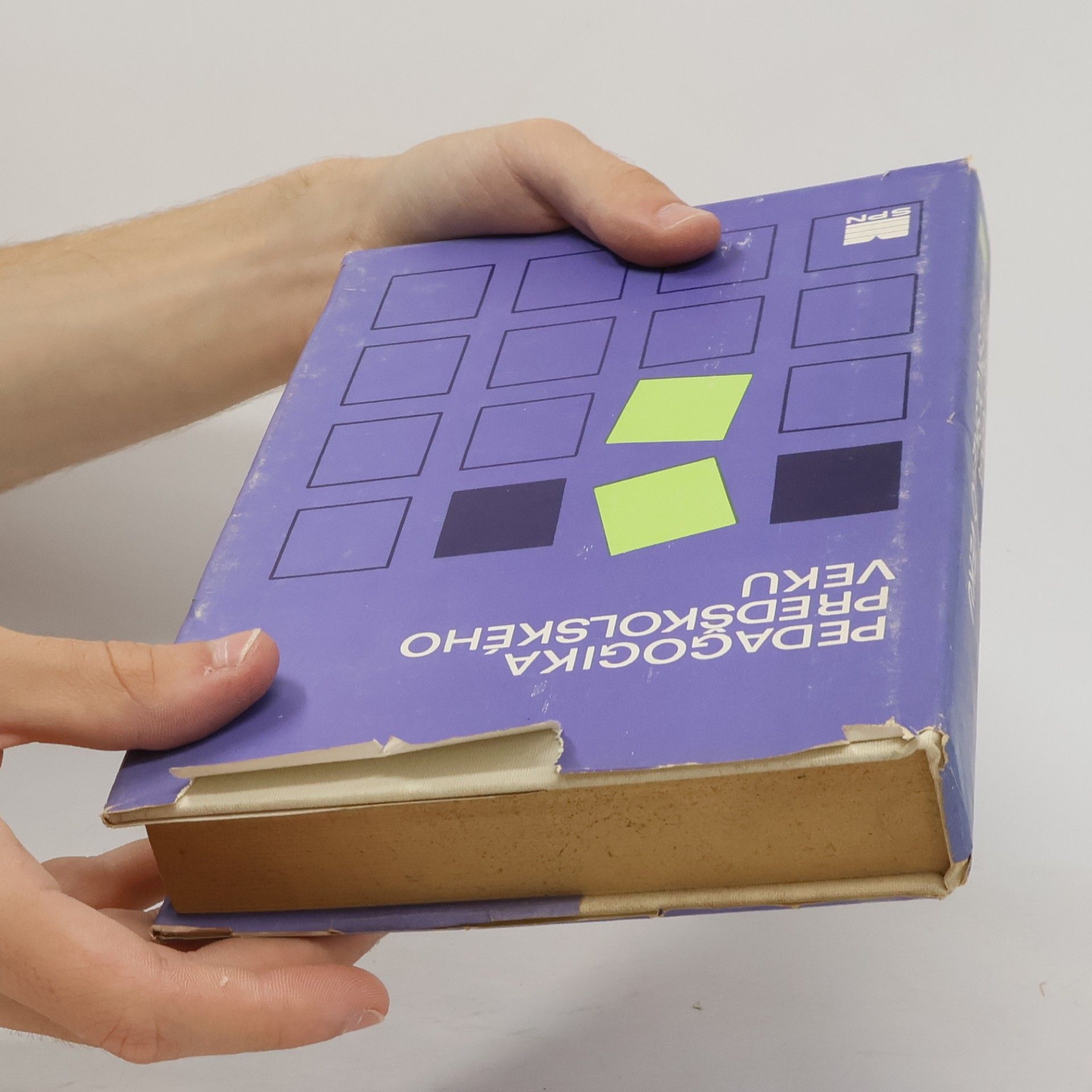 Autorenkollektiv Pedagogika predškolského veku