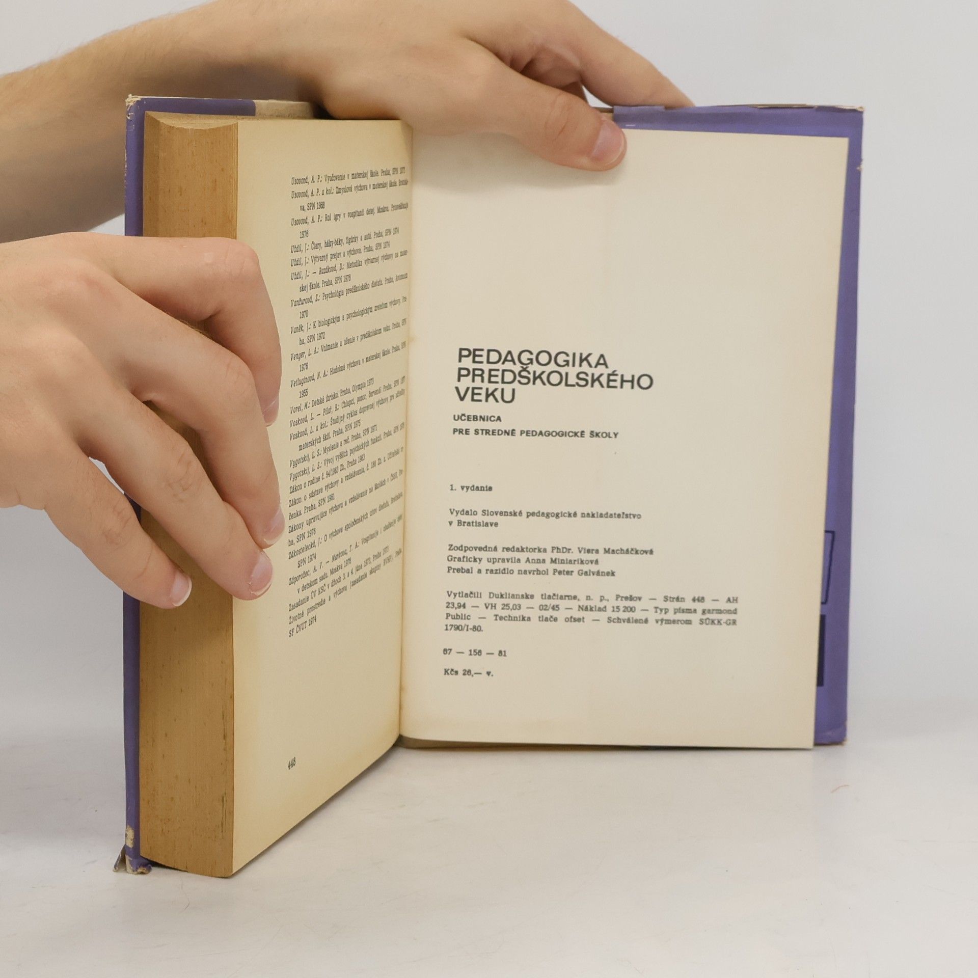 Autorenkollektiv Pedagogika predškolského veku