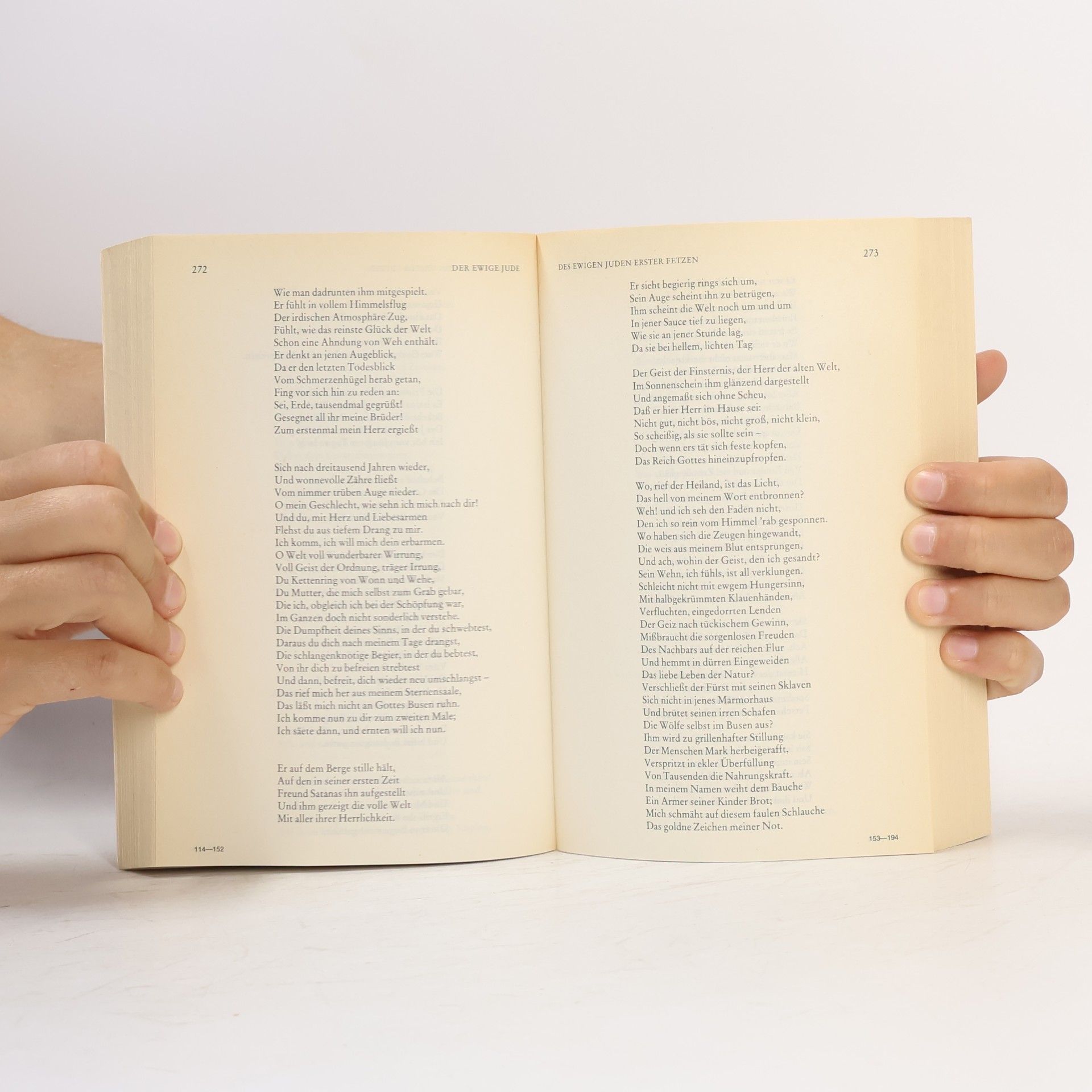 Johann Wolfgang von Goethe West-Östlicher Divan. Epen. Maximen und Reflexionen