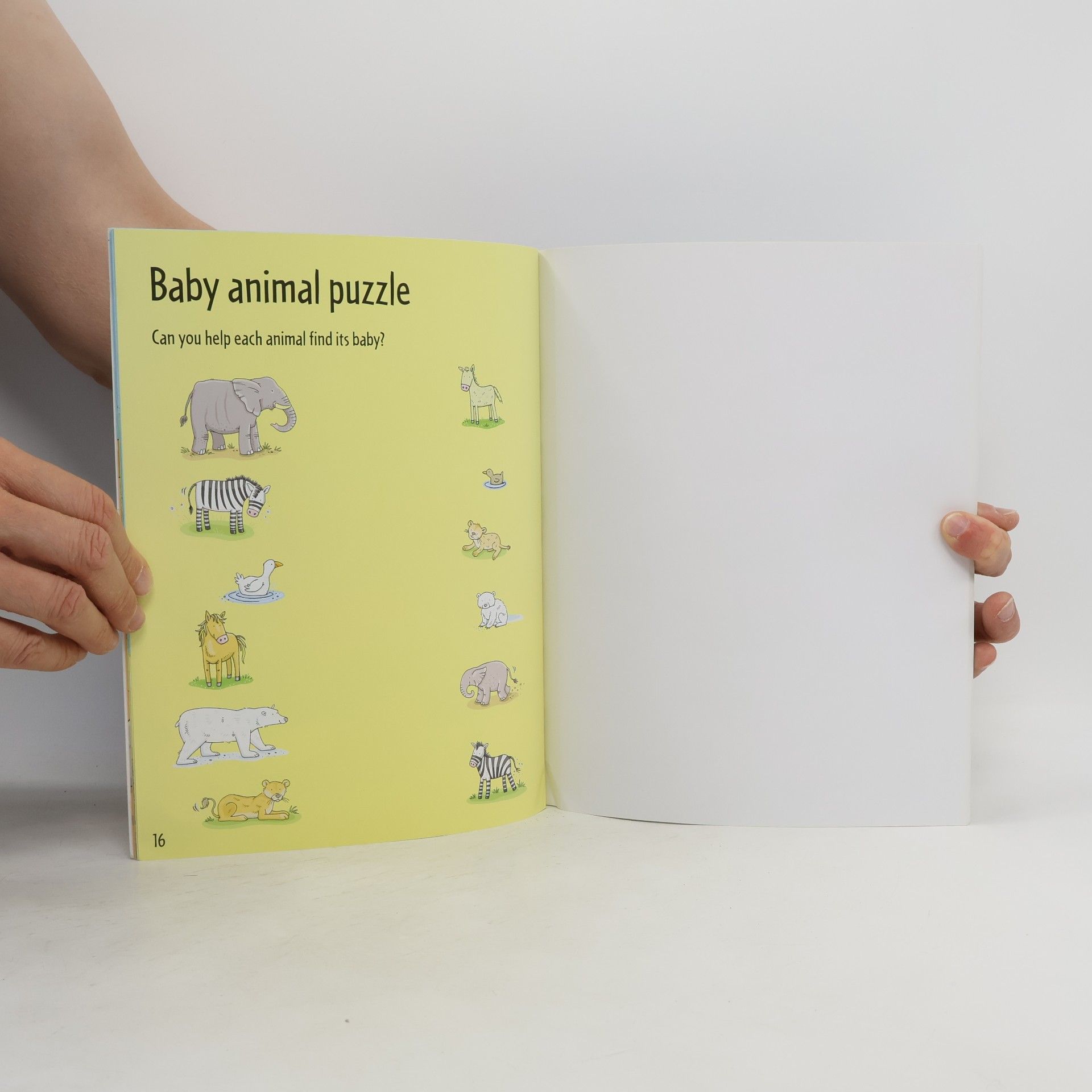 Usborne Publishing Ltd Animal Sticker Book With Stickers