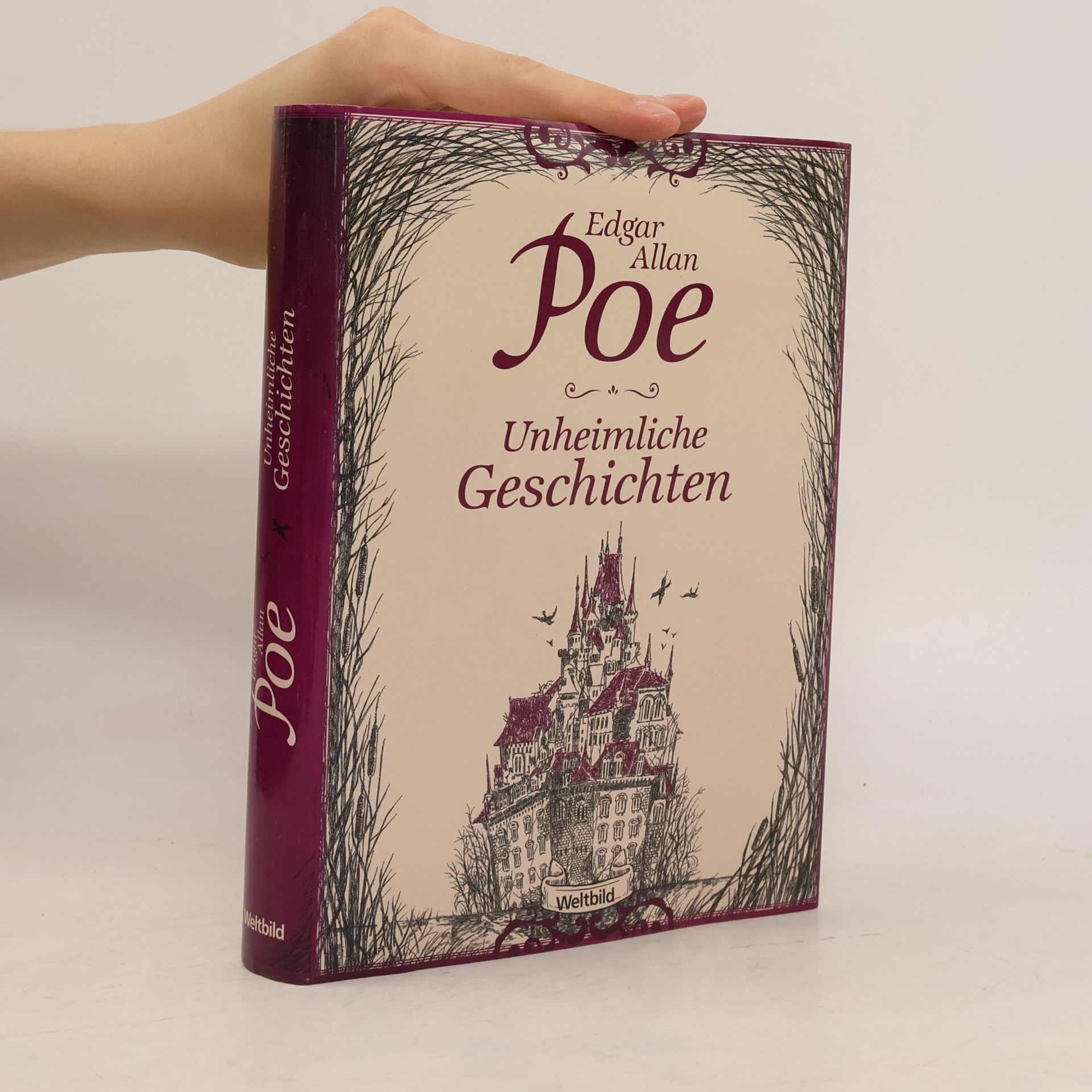 Edgar Allan Poe Unheimliche Geschichten