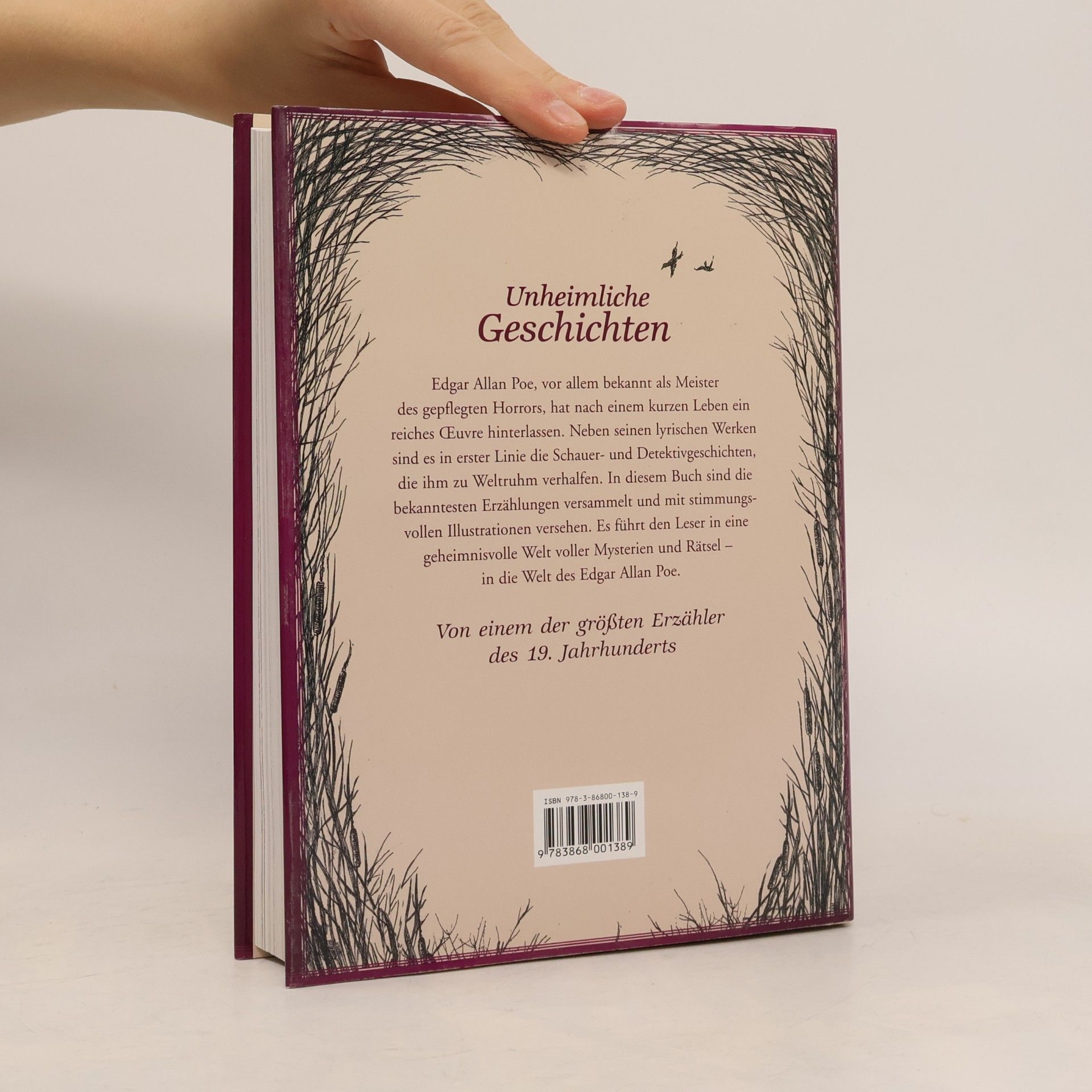 Edgar Allan Poe Unheimliche Geschichten