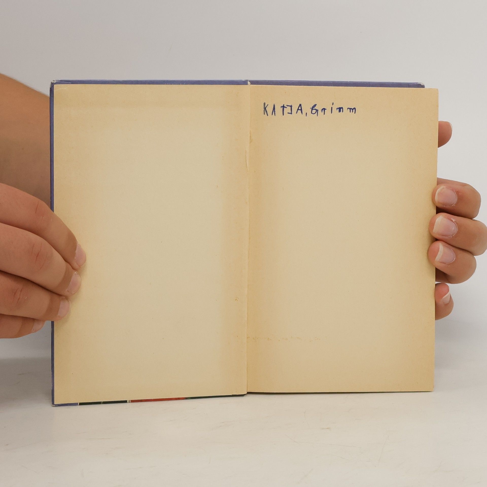 Enid Blyton Fünf Freunde verfolgen die Strandräuber