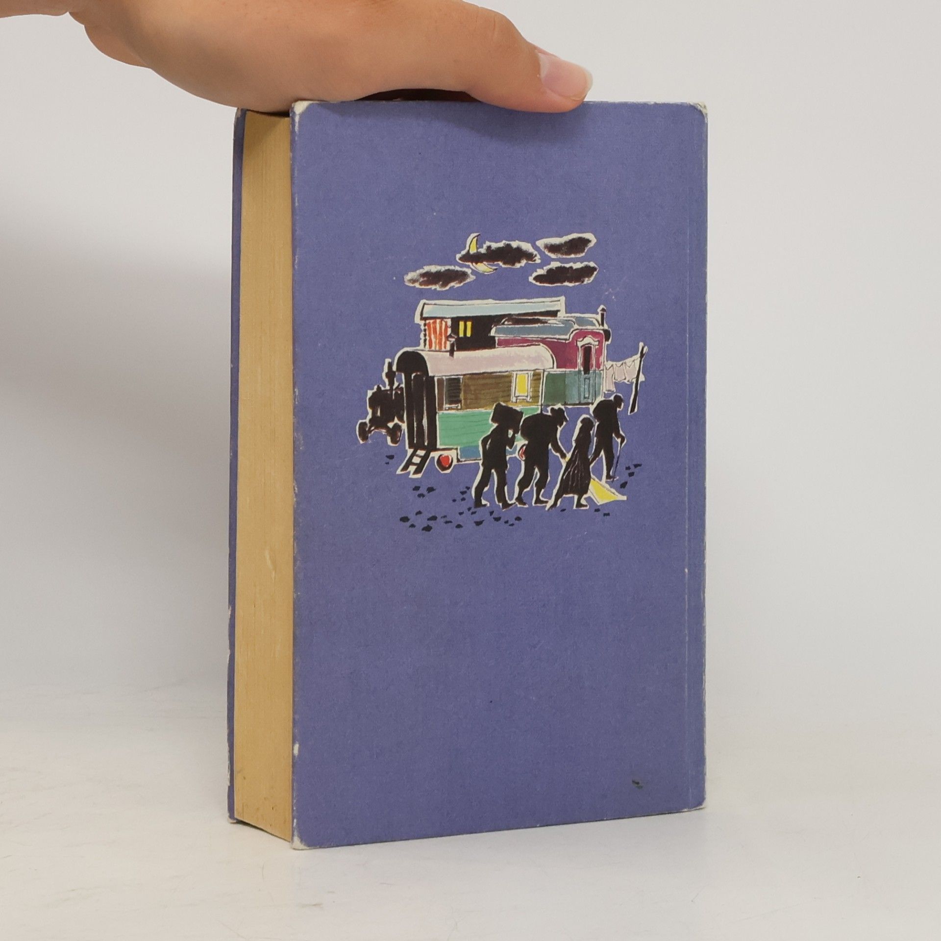 Enid Blyton Fünf Freunde verfolgen die Strandräuber