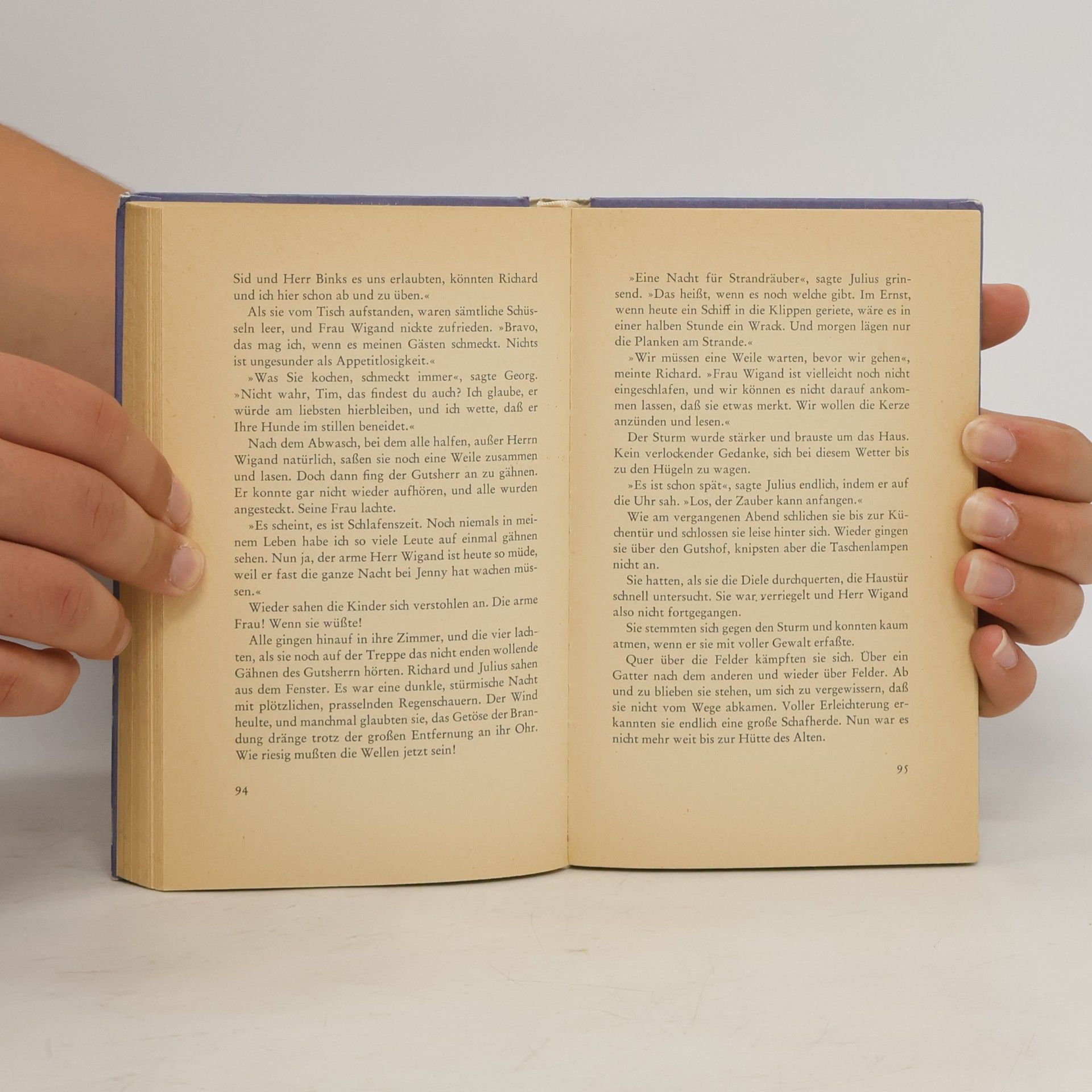 Enid Blyton Fünf Freunde verfolgen die Strandräuber