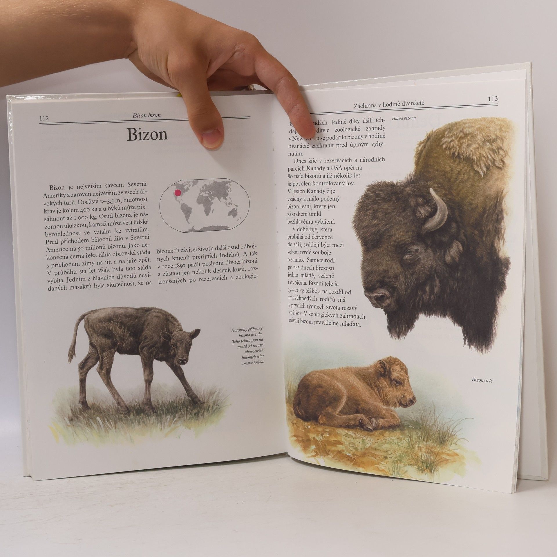 Evžen Kůs Mláďata v zoo : nejoblíbenější savci z celého světa v obrazech