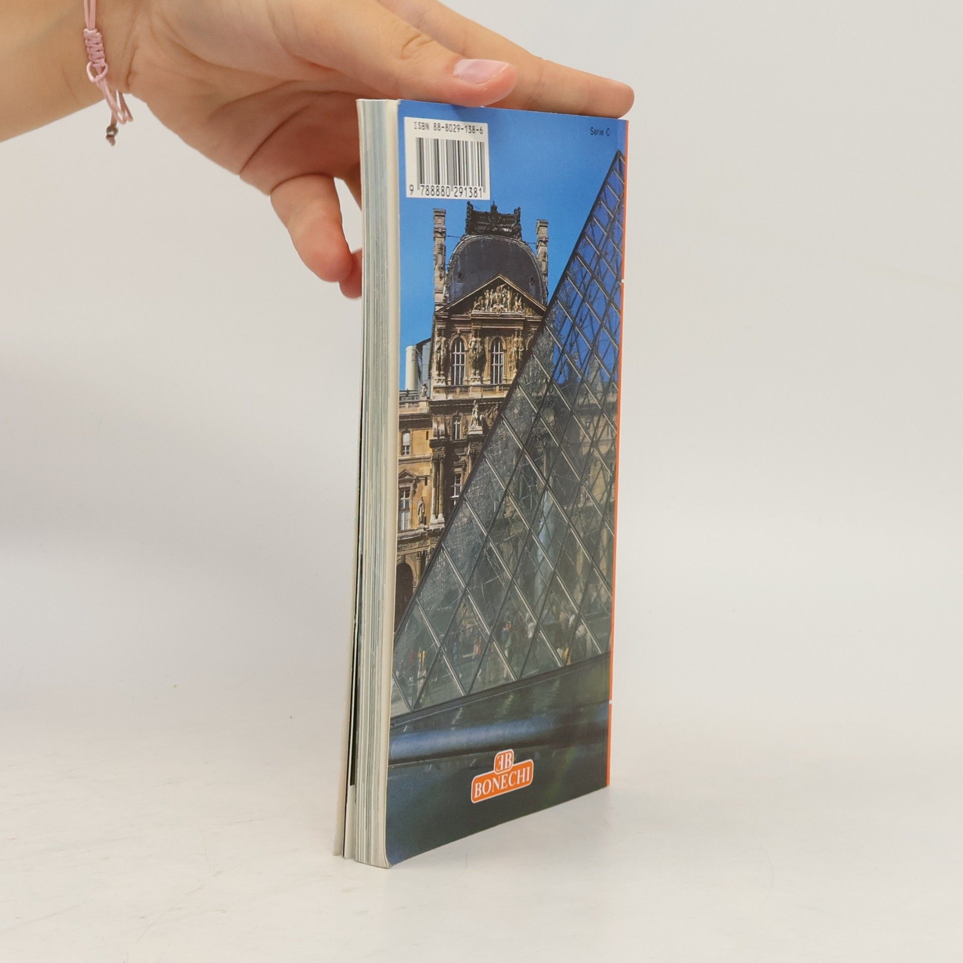 Autores varios Parijs en het Grand Louvre