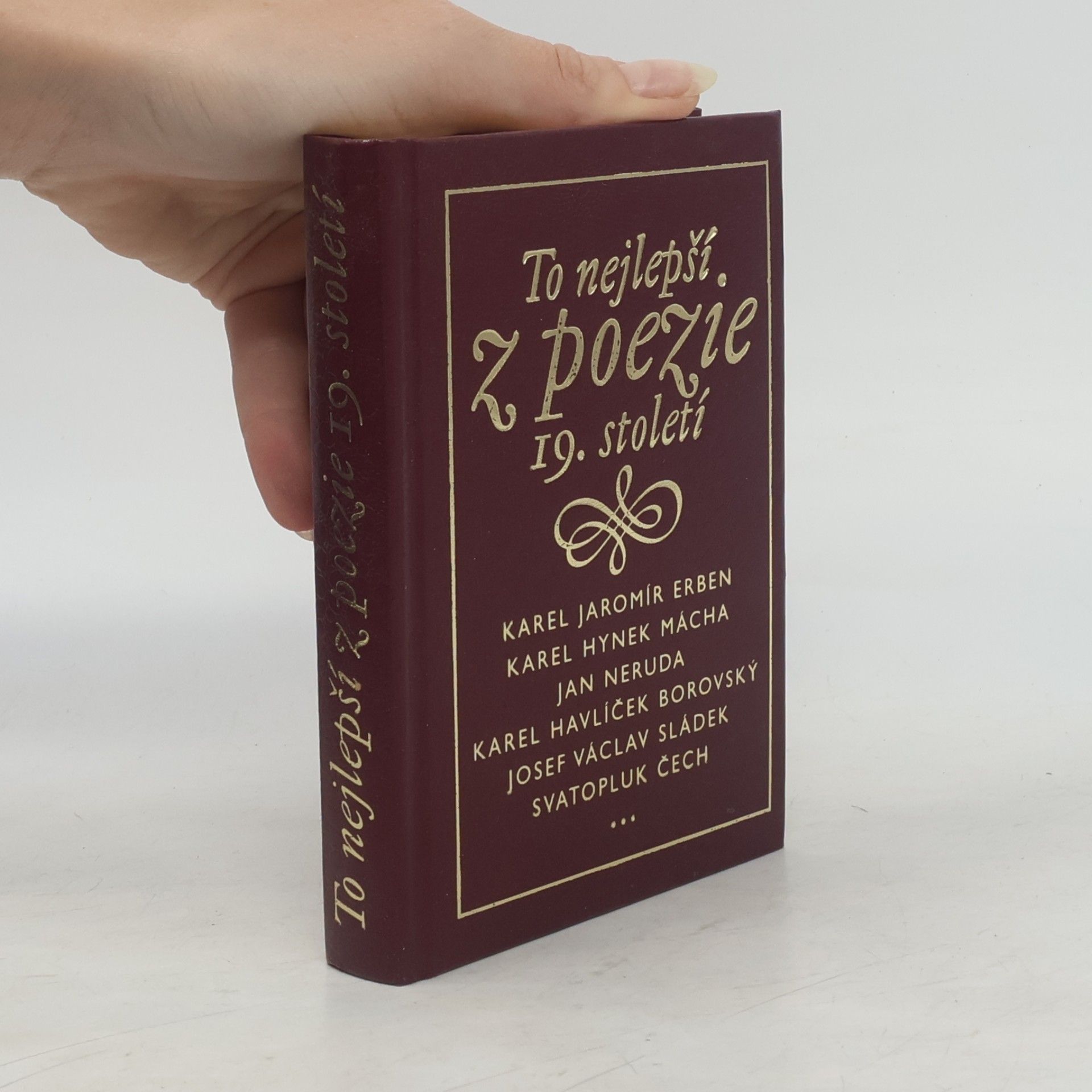 Kolektiv autorů To nejlepší z poezie 19. století