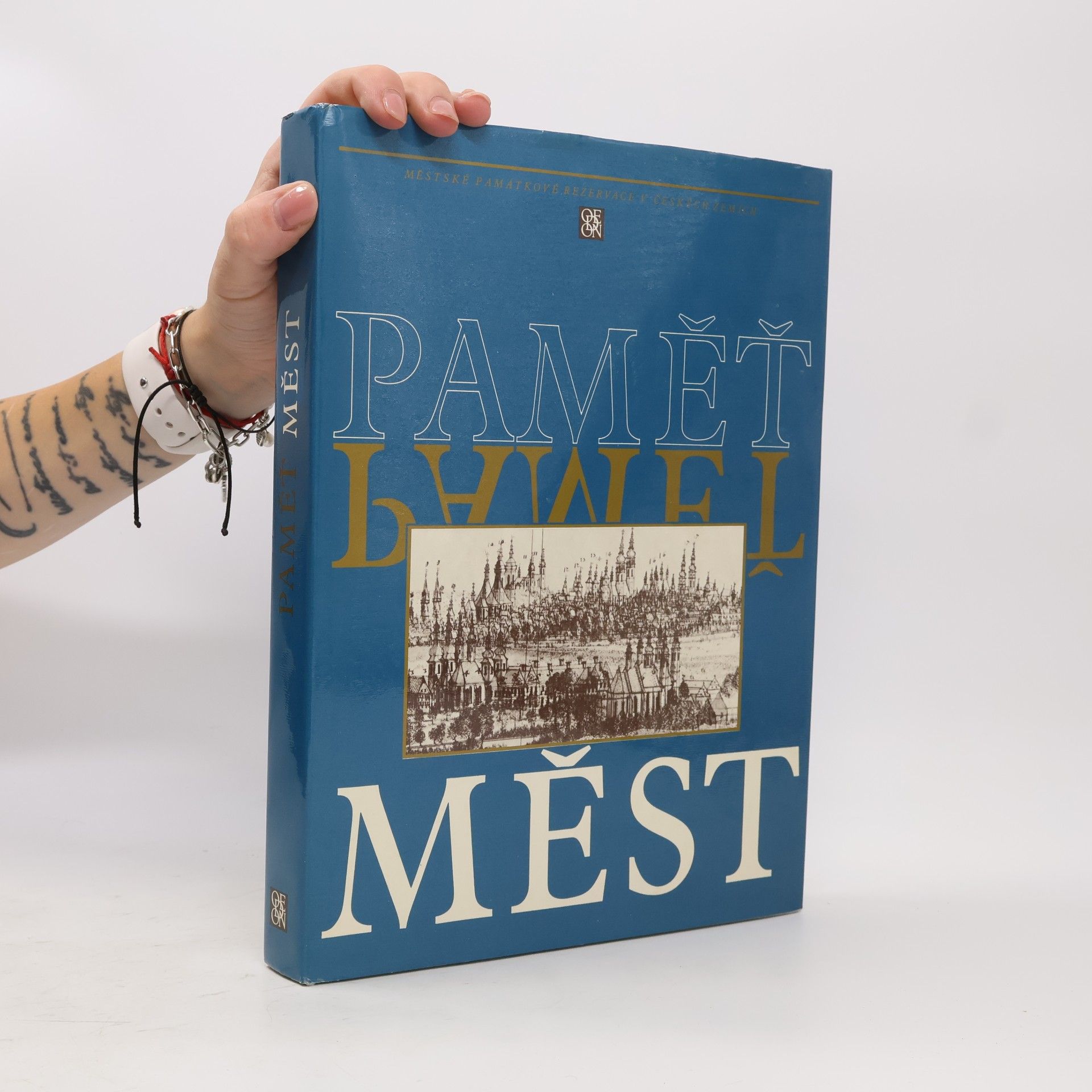 Collectif d'auteurs Paměť měst