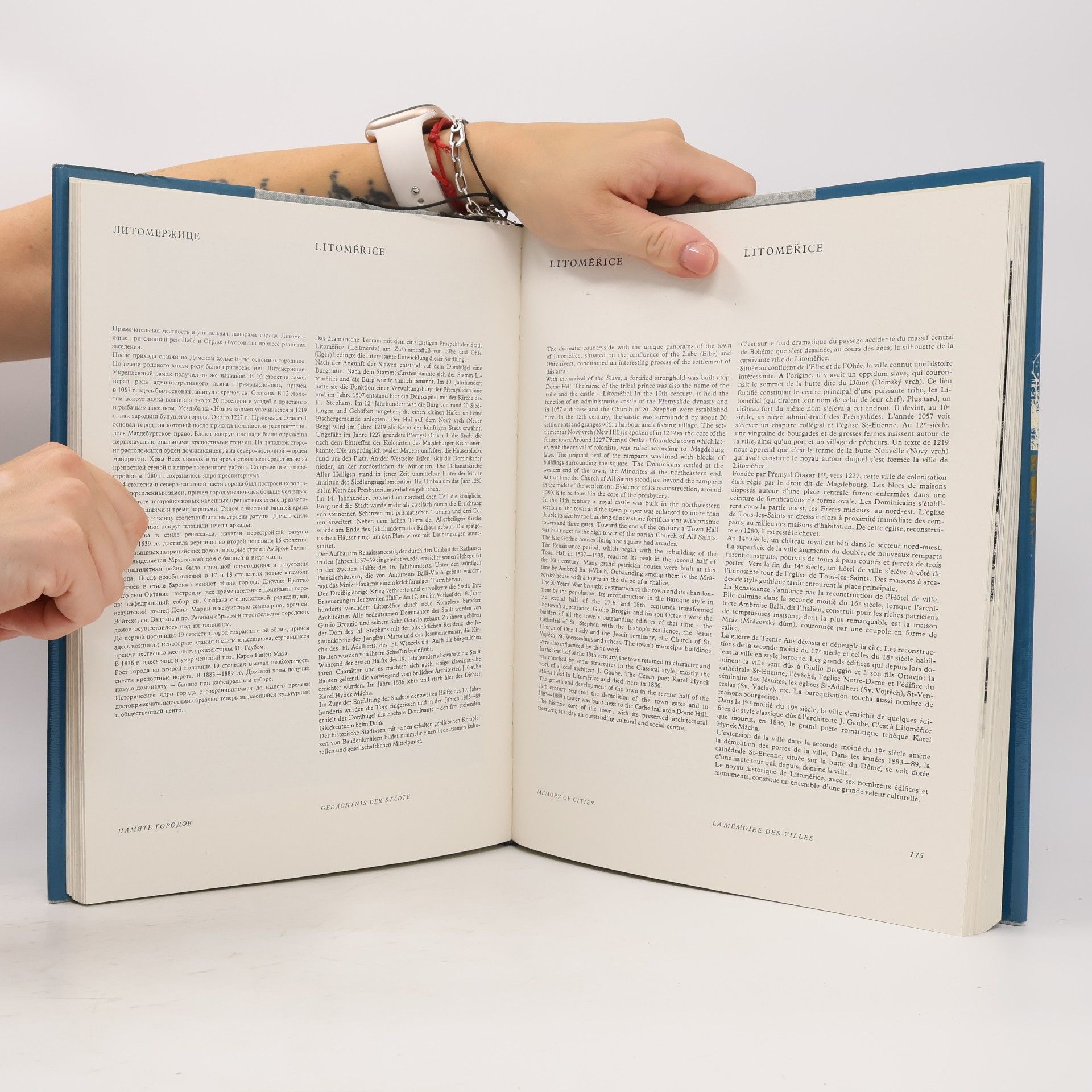Various authors Paměť měst
