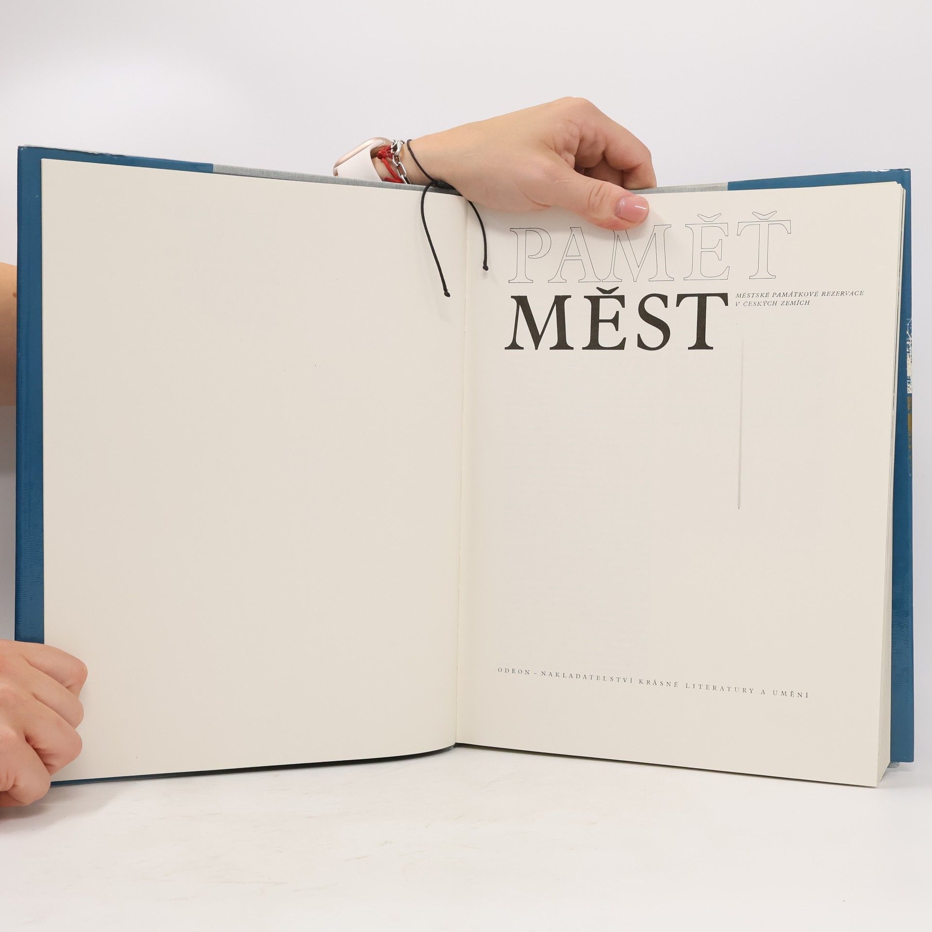 Various authors Paměť měst