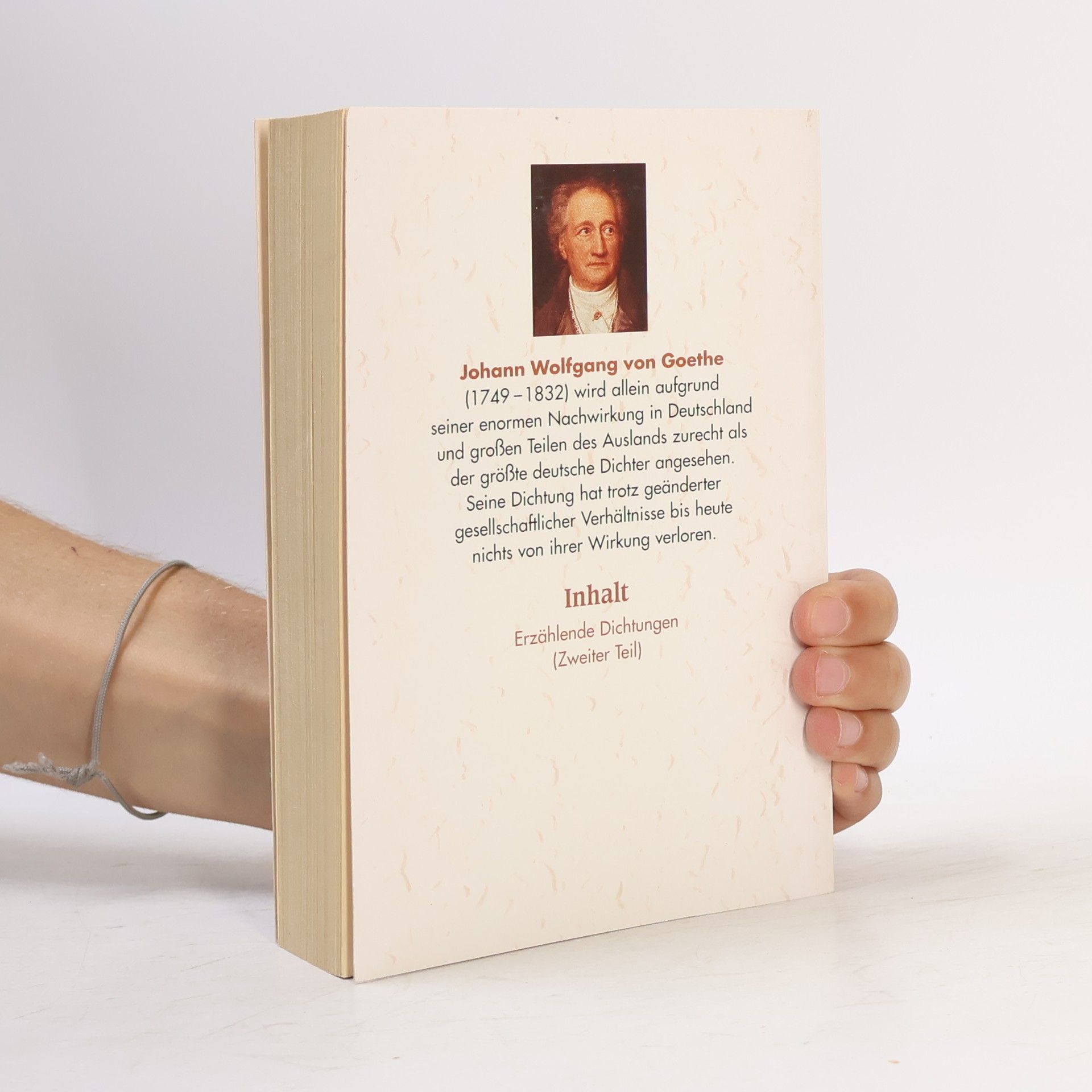 Johann Wolfgang von Goethe Meisterwerke 6. Erzählende Dichtungen (Zweiter Teil)