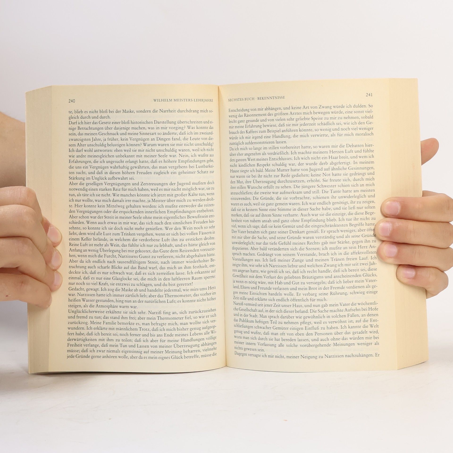 Johann Wolfgang von Goethe Meisterwerke 6. Erzählende Dichtungen (Zweiter Teil)