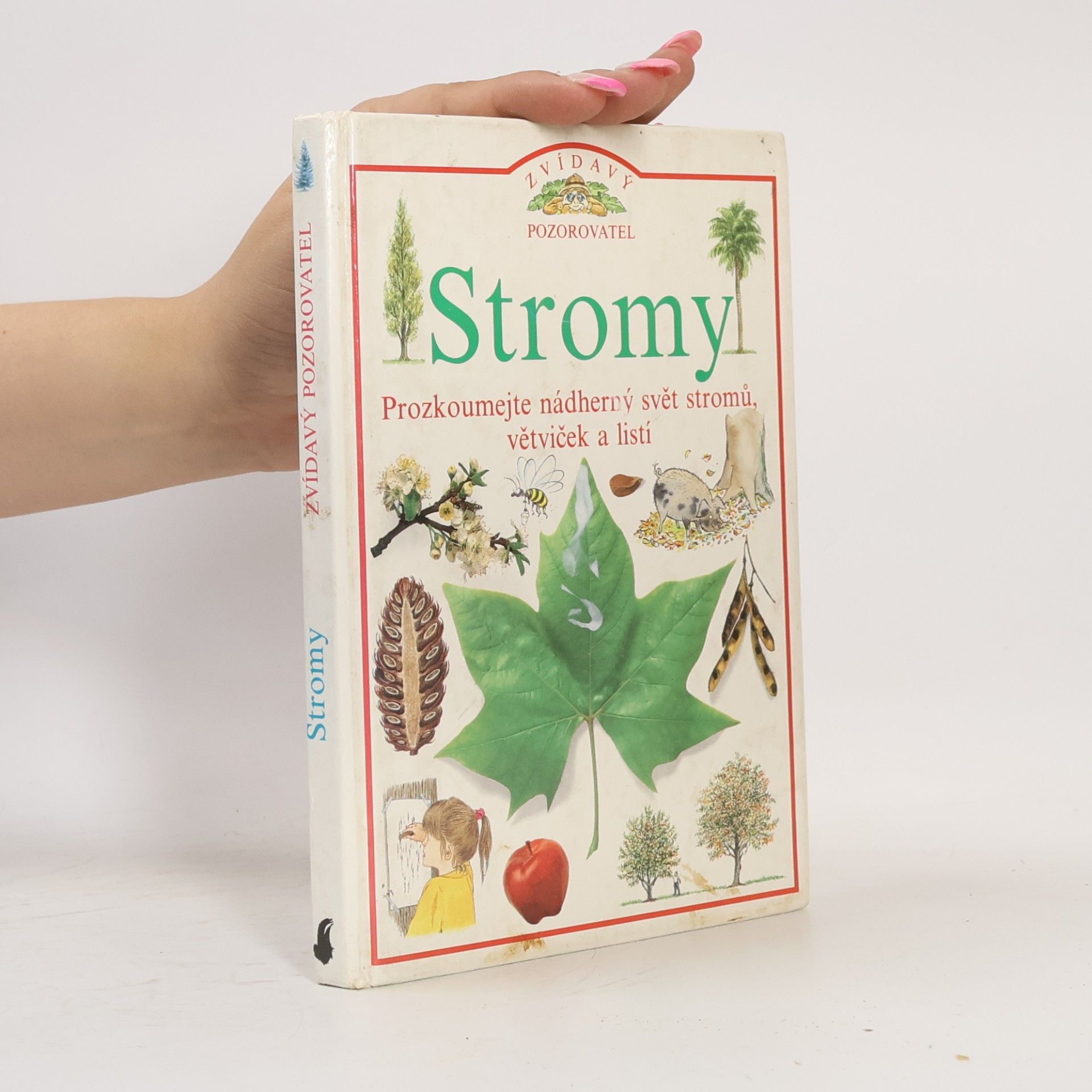 Linda Gamlin Stromy