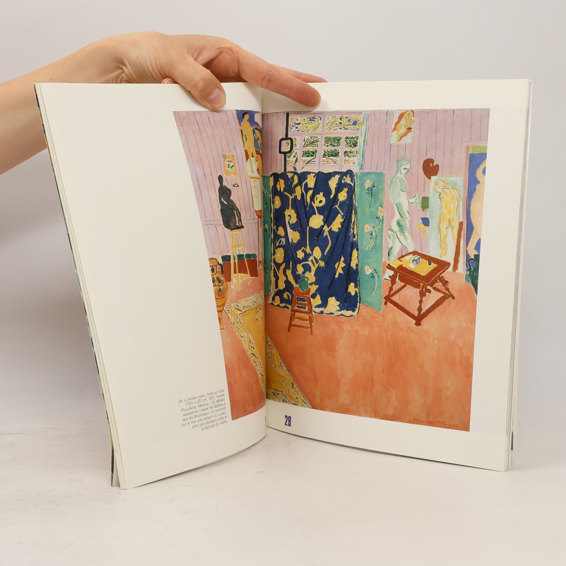 Kolektiv autorů Matisse