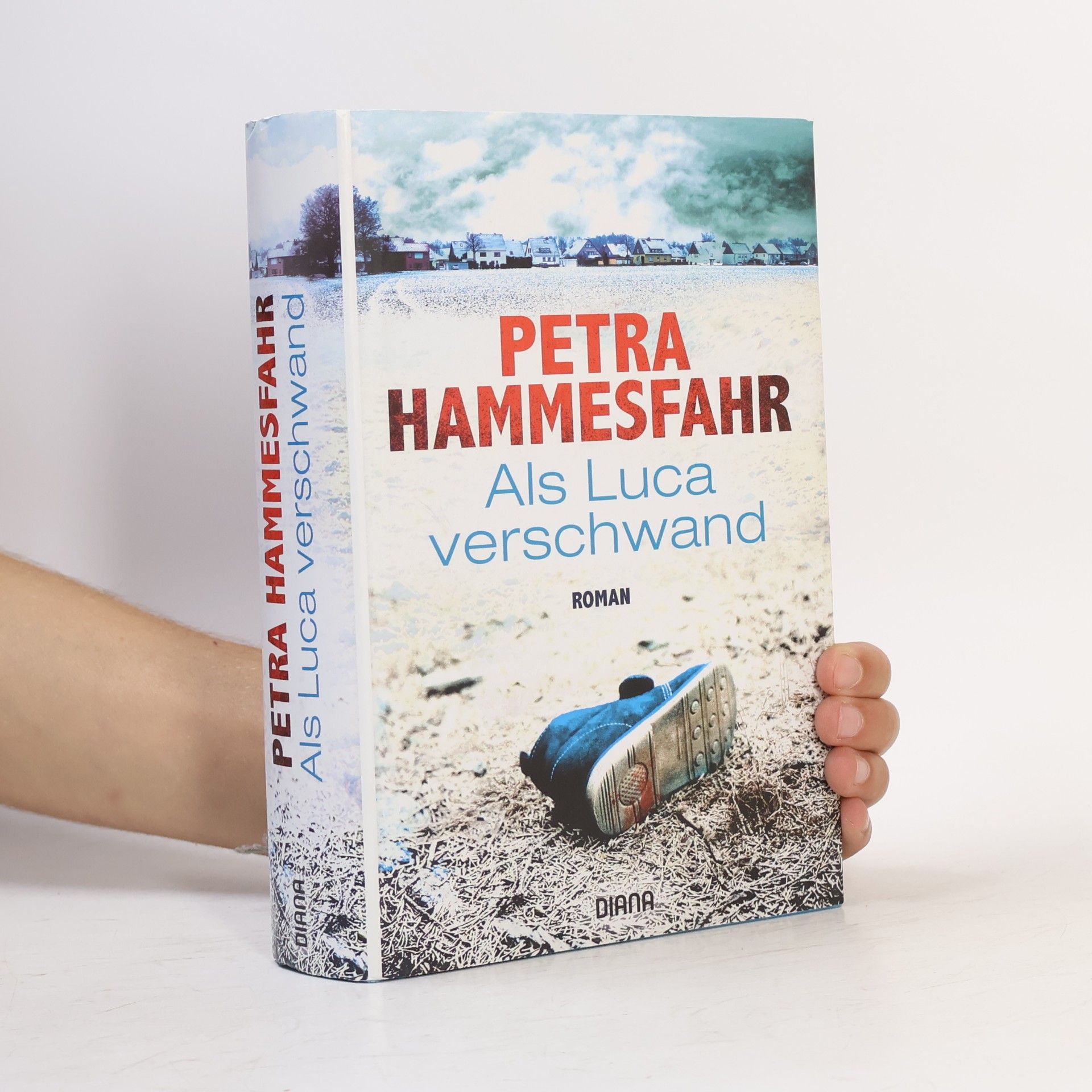 Petra Hammesfahr Als Luca verschwand