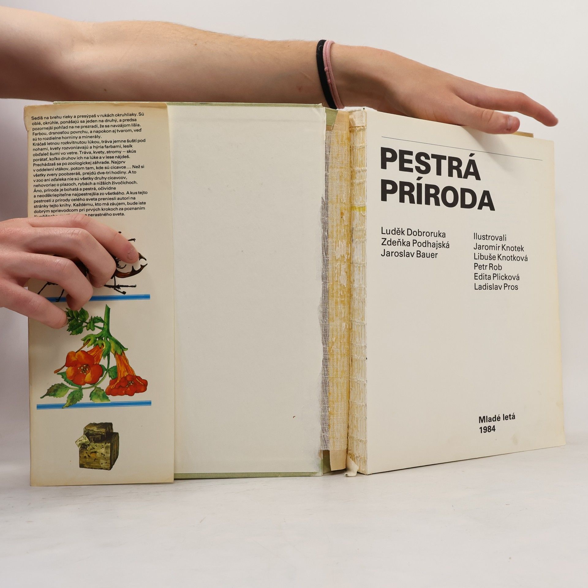 Zdenka Podhajská Pestrá príroda