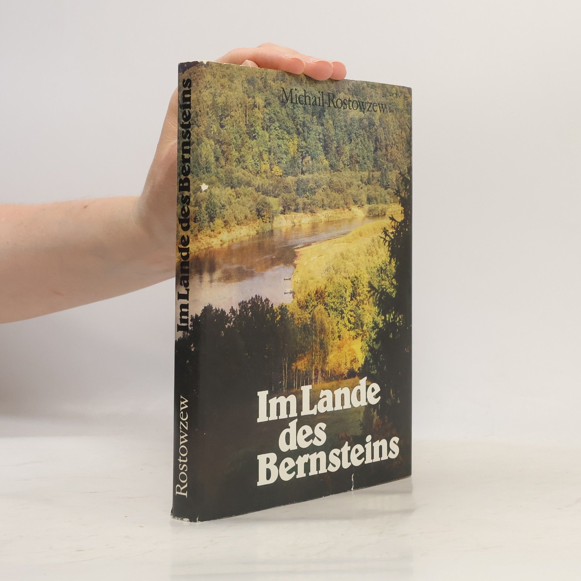 Rostowzew Michail Im Lande des Bernsteins