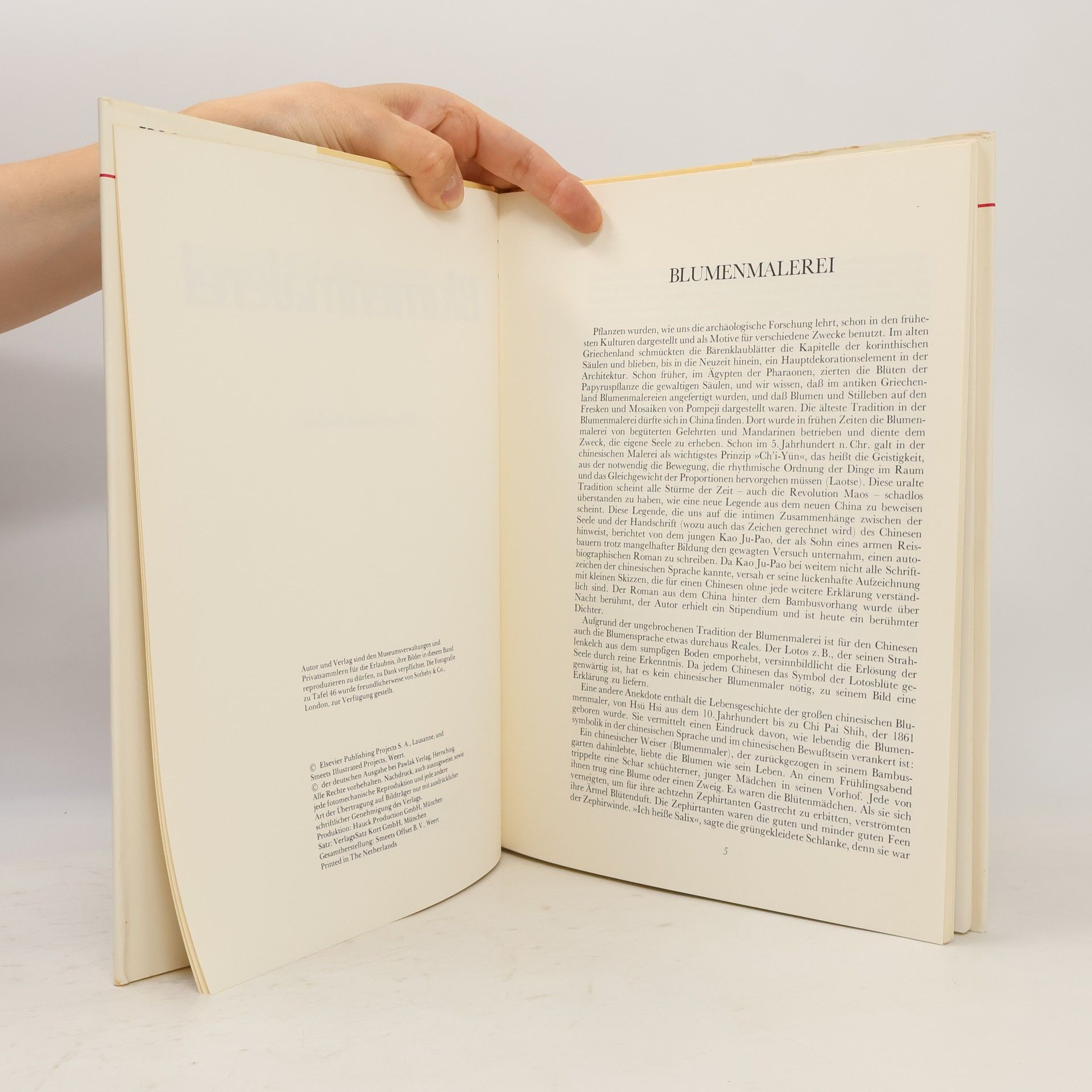 Various authors Blumenmalerei