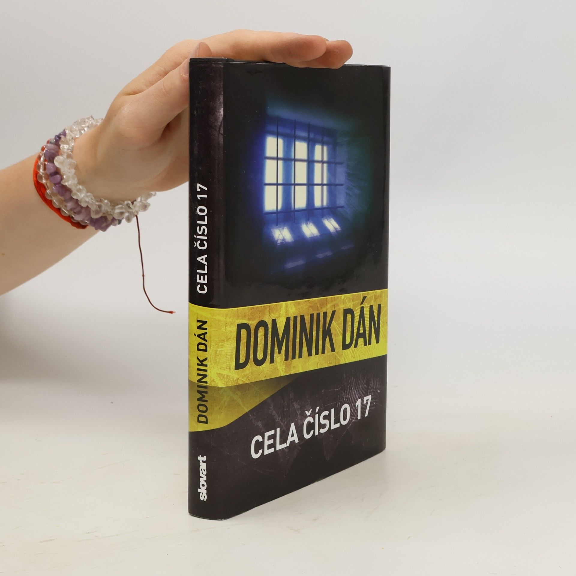 Dominik Dán Cela číslo 17