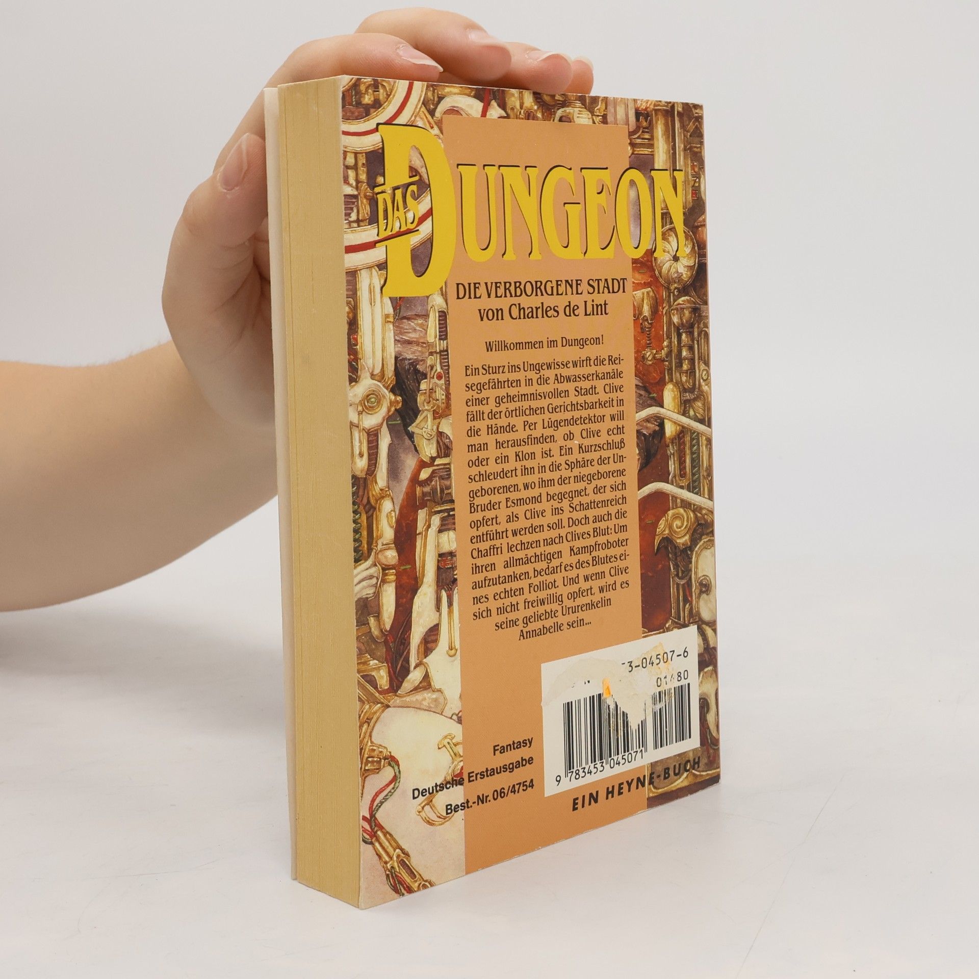 Charles de Lint Das Dungeon