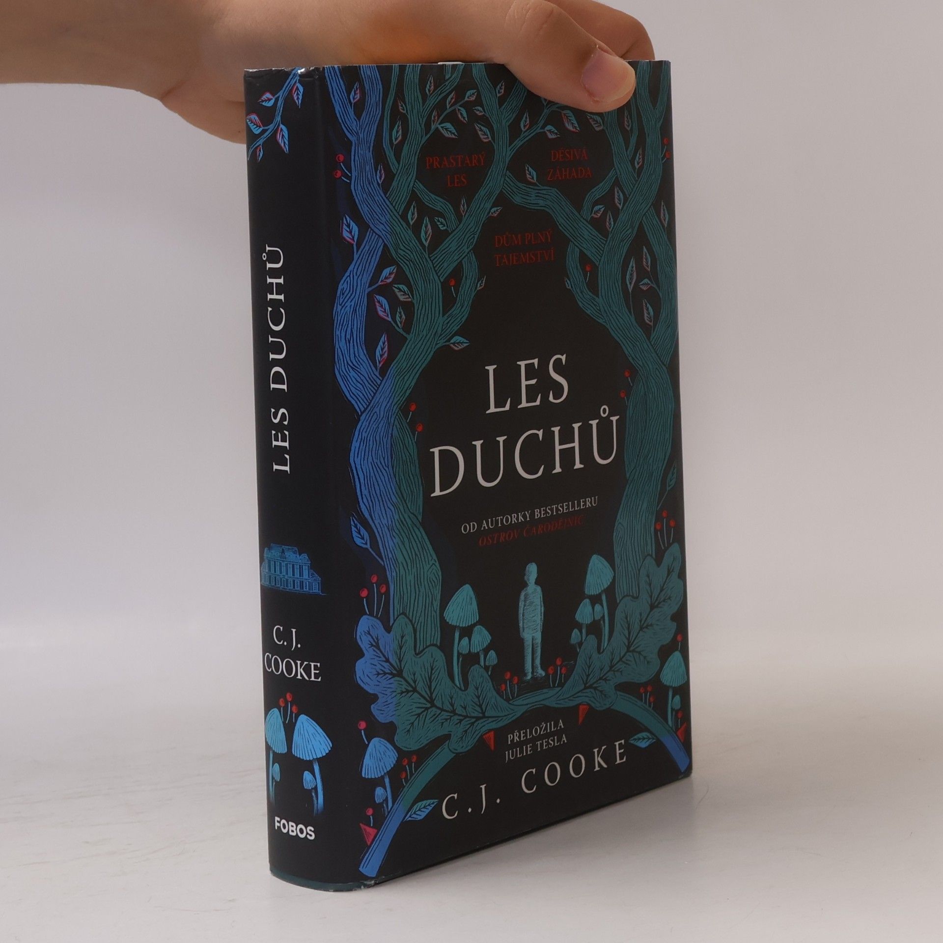 Carolyn Jess Cooke Les duchů
