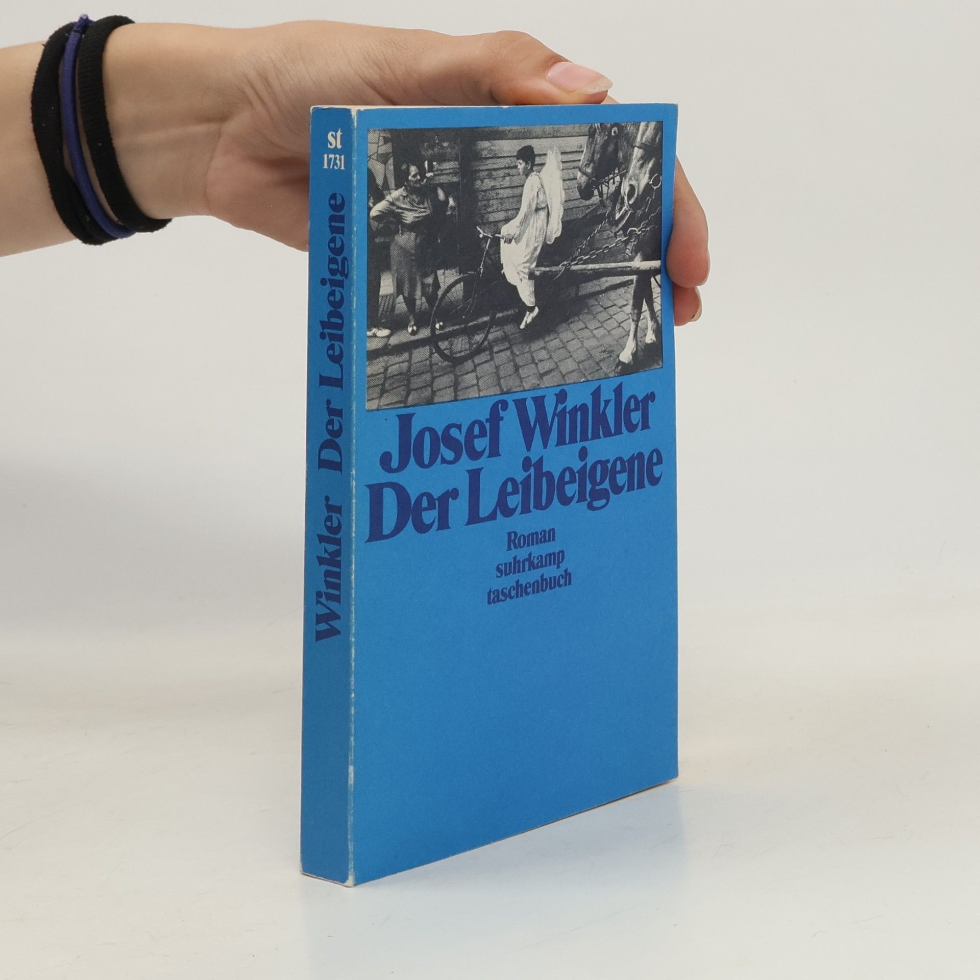 Der Leibeigene : Roman