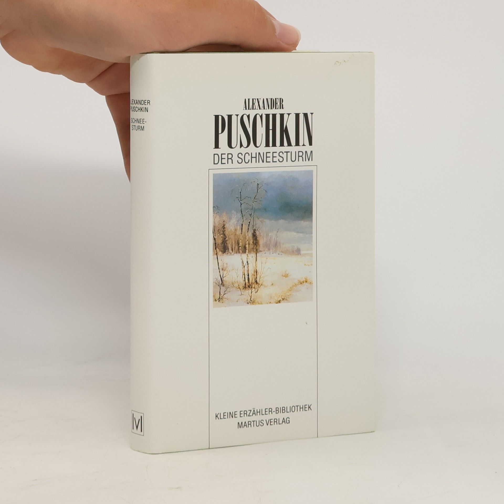 Alexander Pushkin Der Schneesturm. Die Erzählungen des verstorbenen Iwan Petrowitsch Belkin